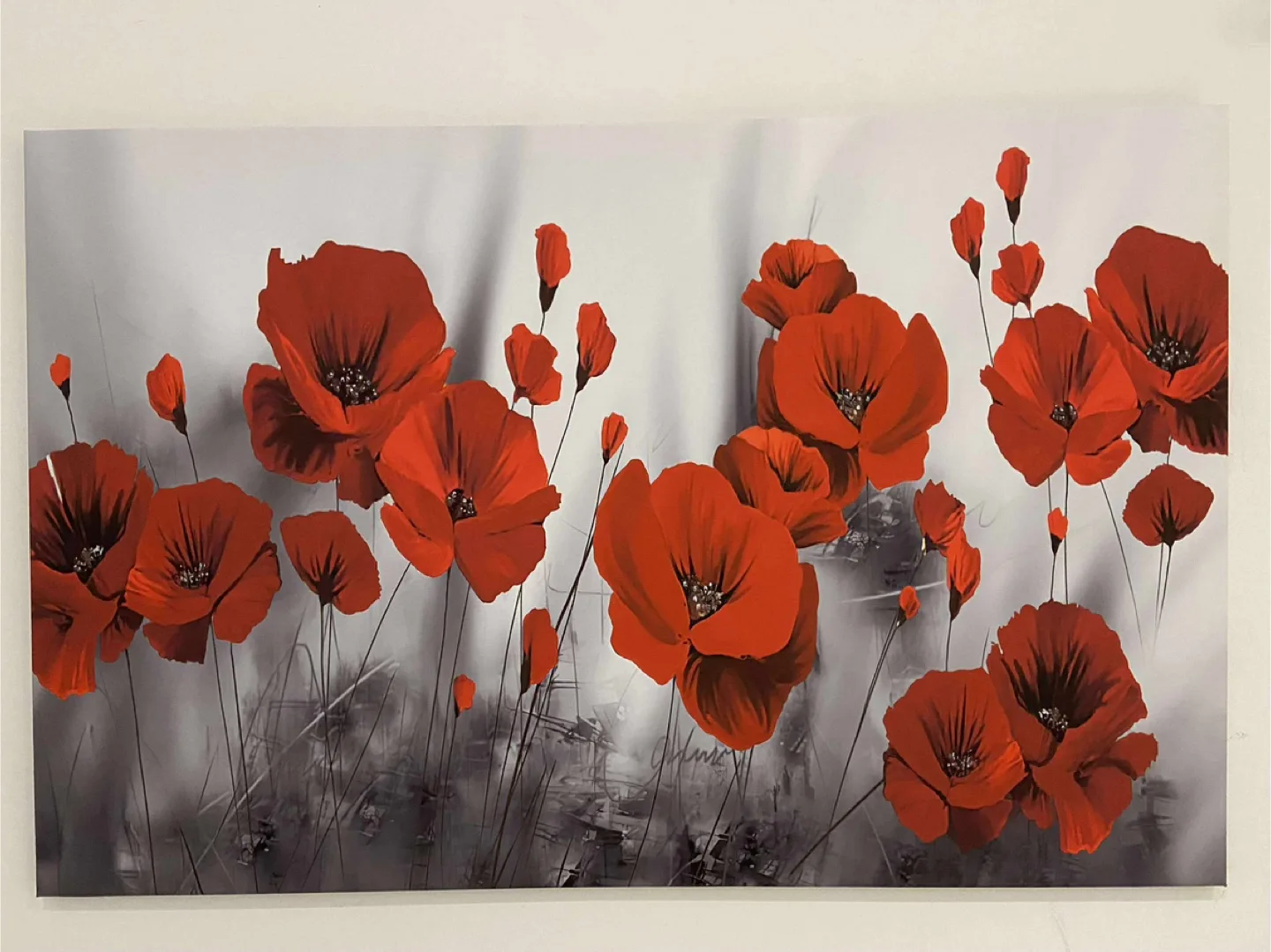 Red Poppy Flower Canvas Art thumbnail