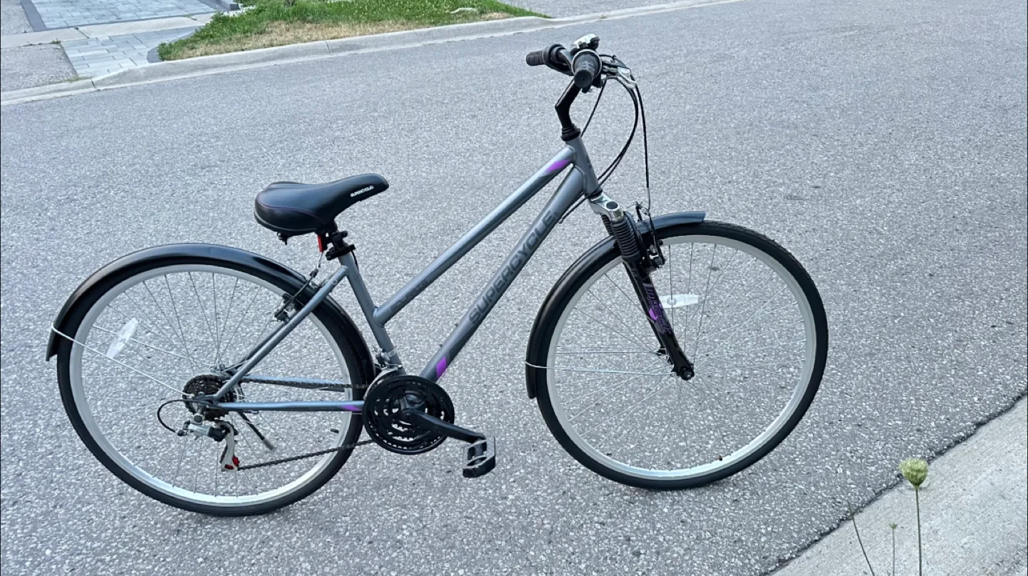 29” sz s frame size female Bike - Grey thumbnail