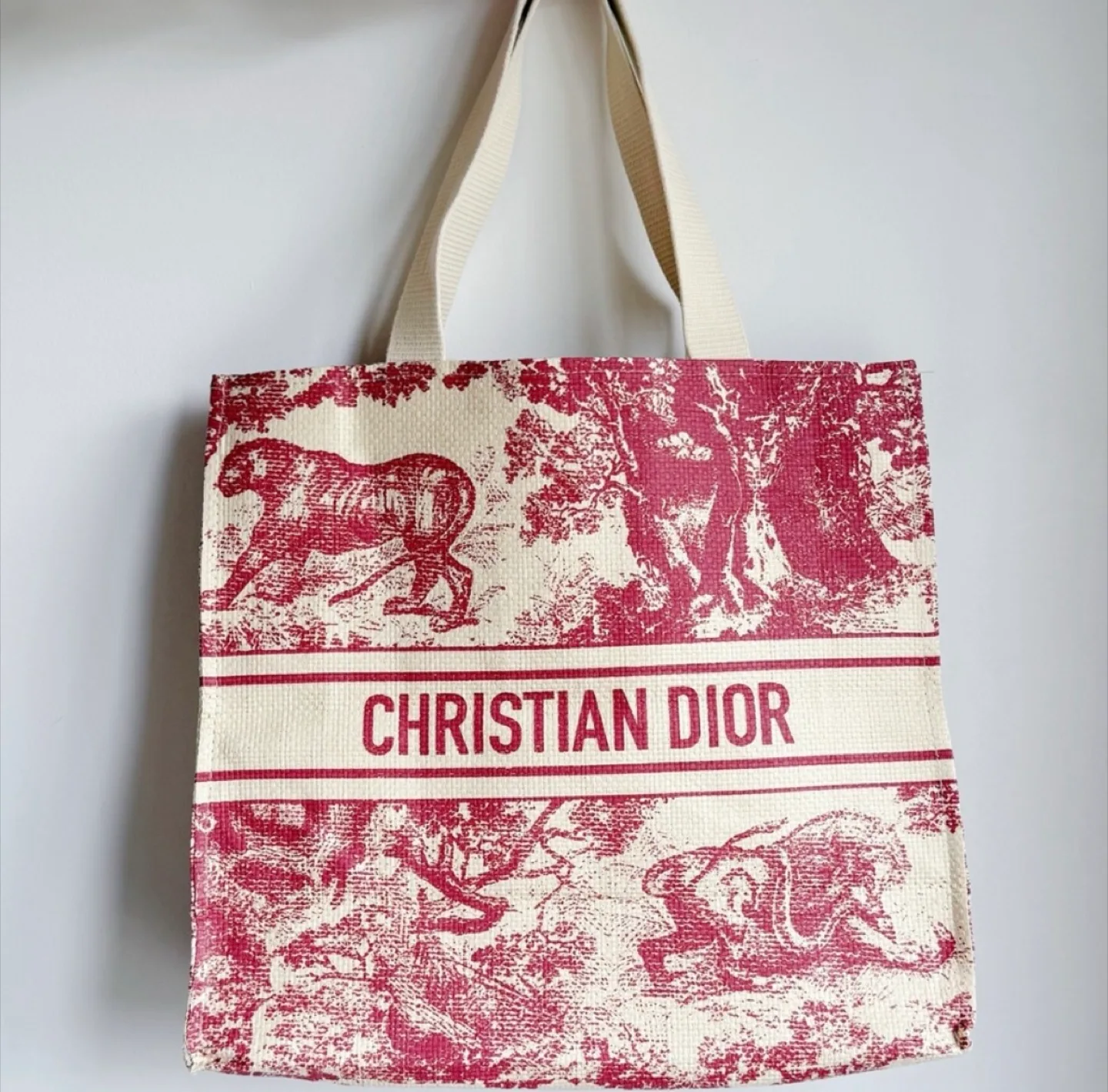 Dior Dioriviera Tote Bag thumbnail