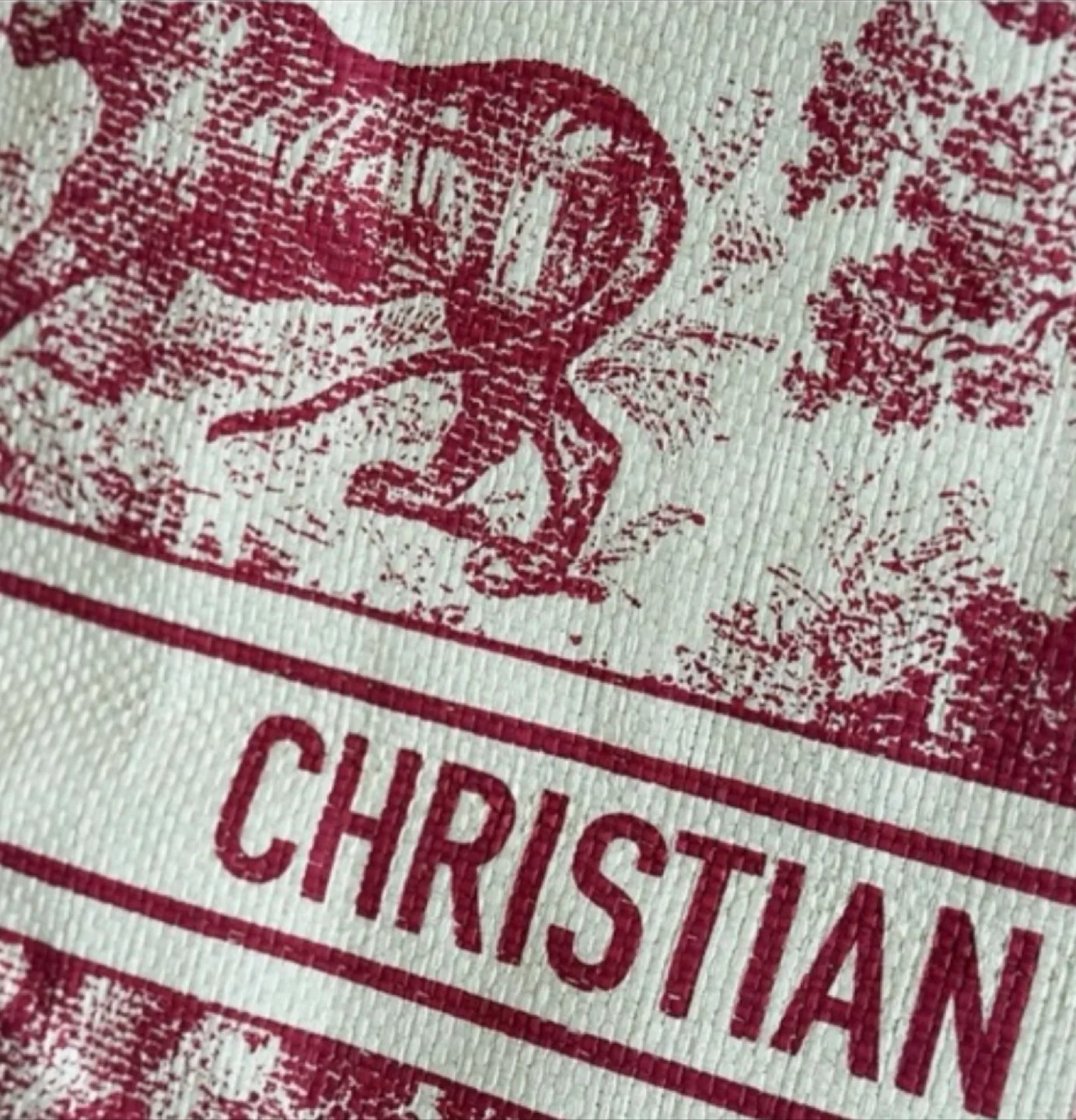 Dior Dioriviera Tote Bag image indicator(4)