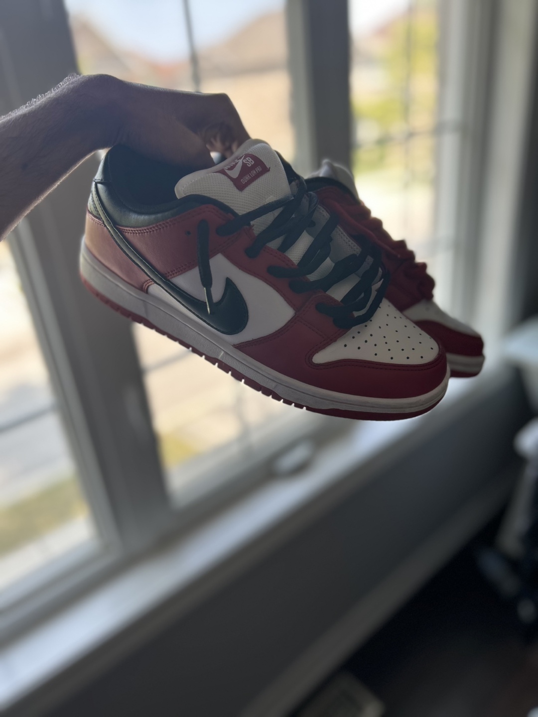Nike SB Dunk Low Pro Chicago Red/White