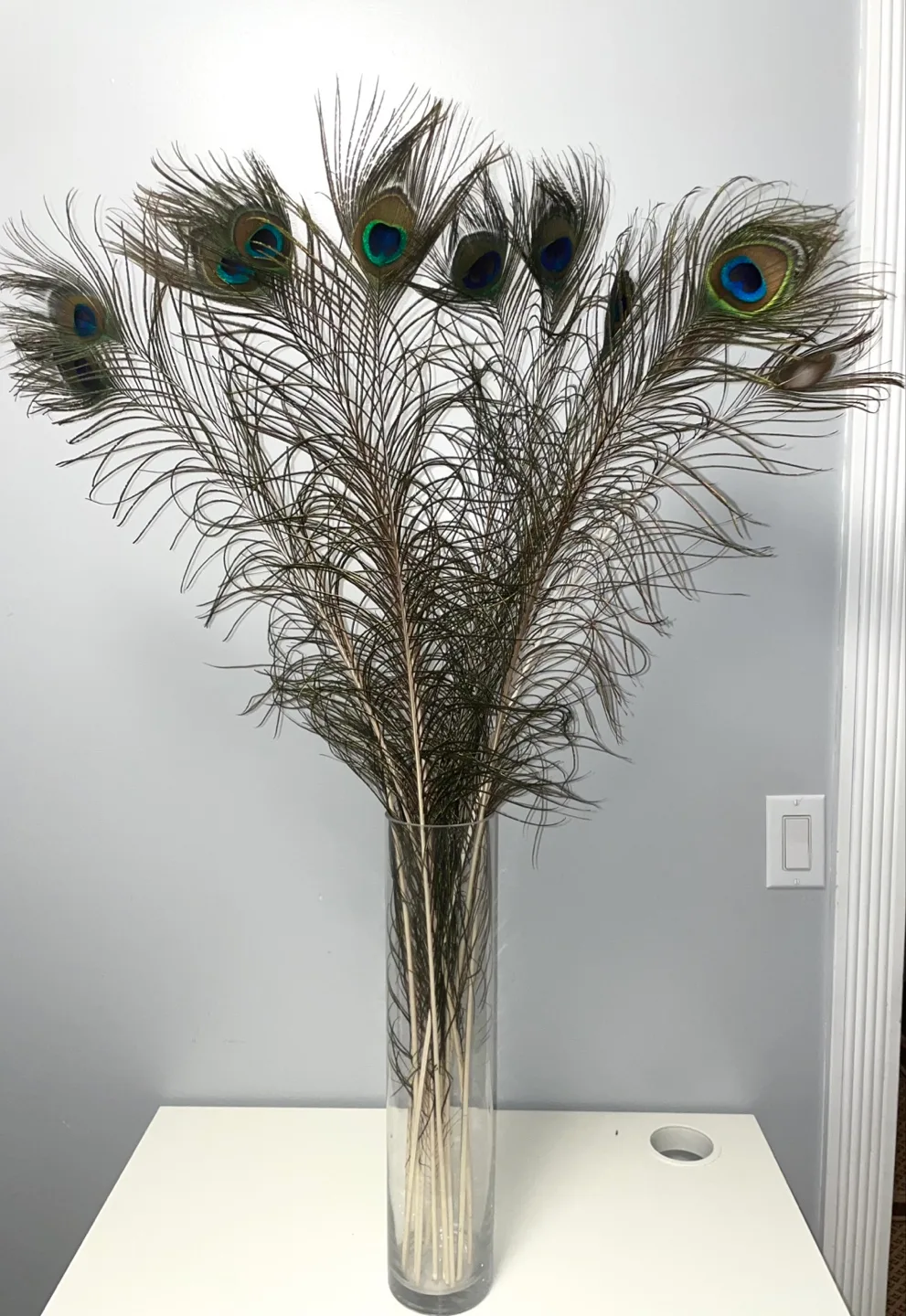 Peacock Feathers Decoration thumbnail