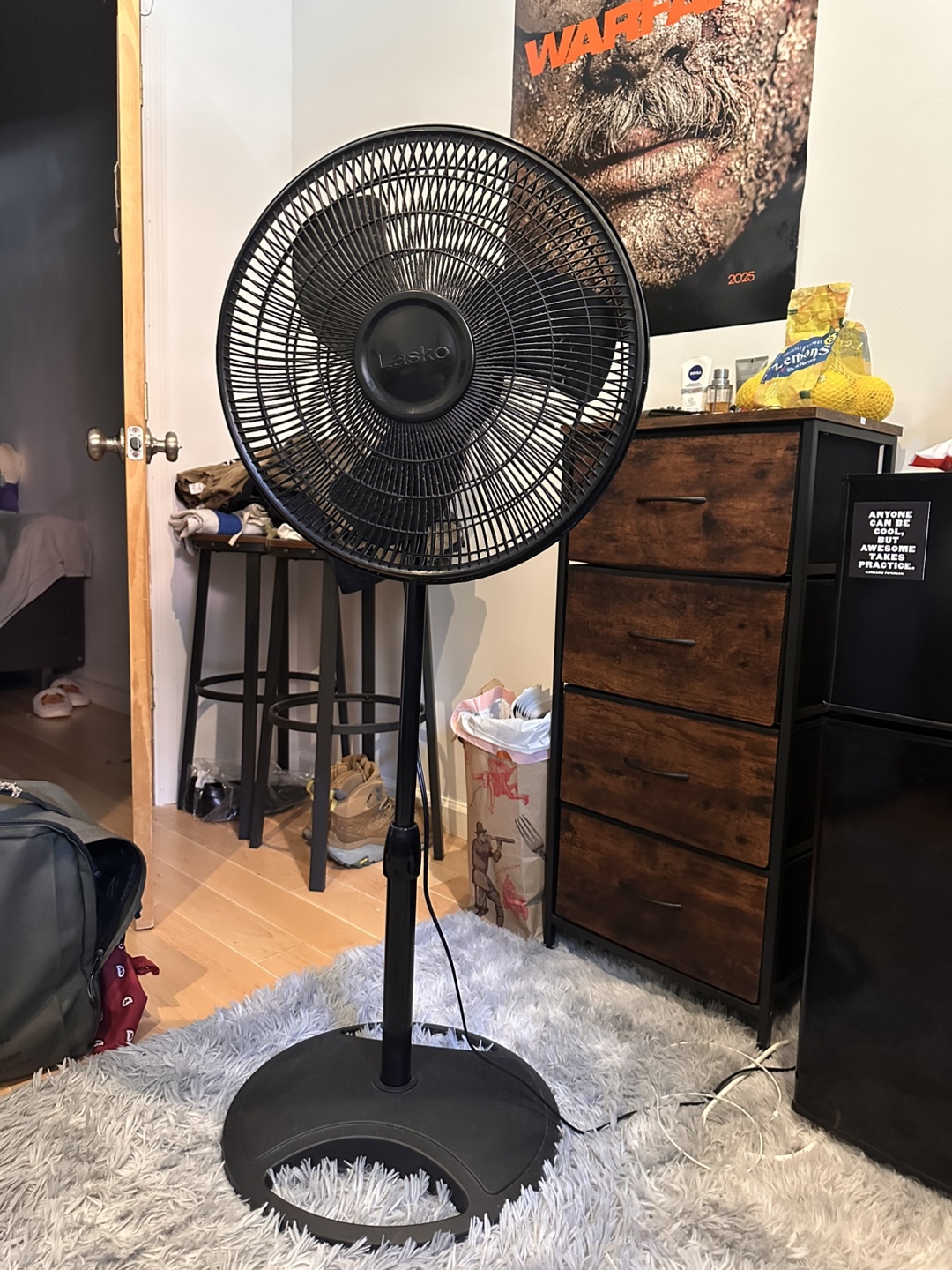 Lasko Black Stand Fan