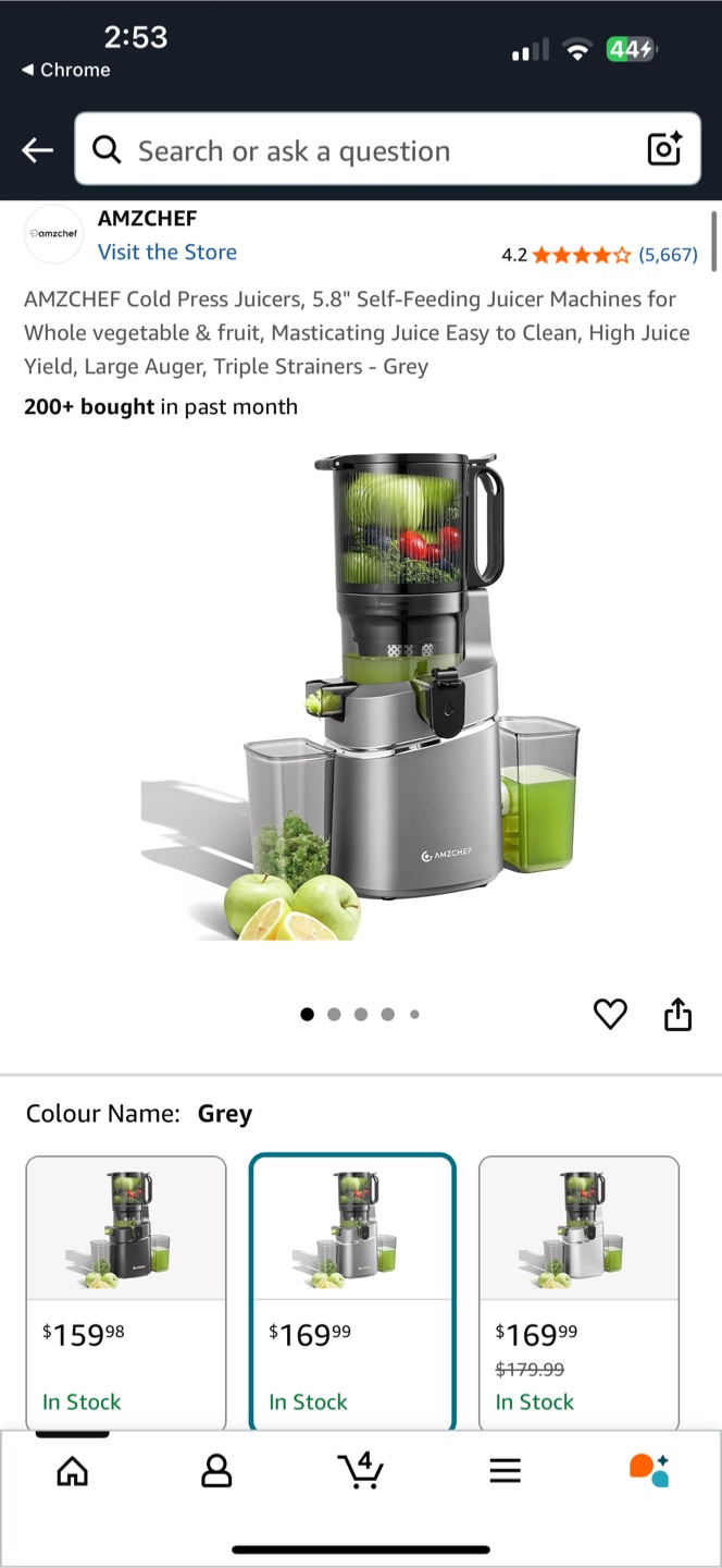 AMZCHEF Cold Press Juicer - Grey - photo 4