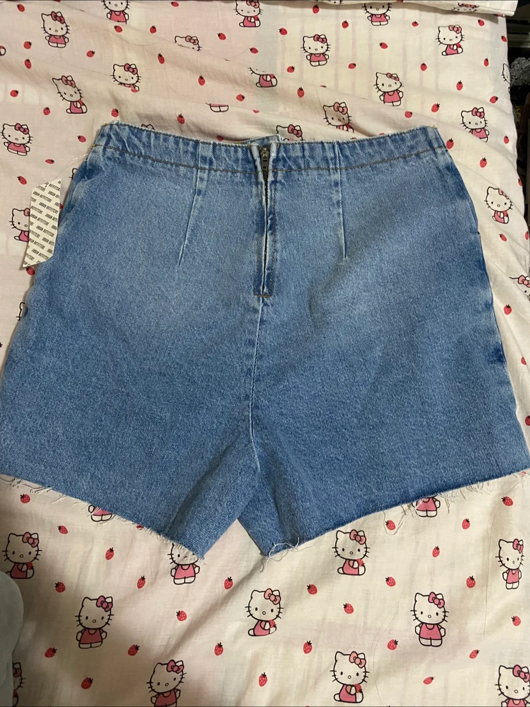 BDG Denim Button Skirt (Size 26) image indicator(2)