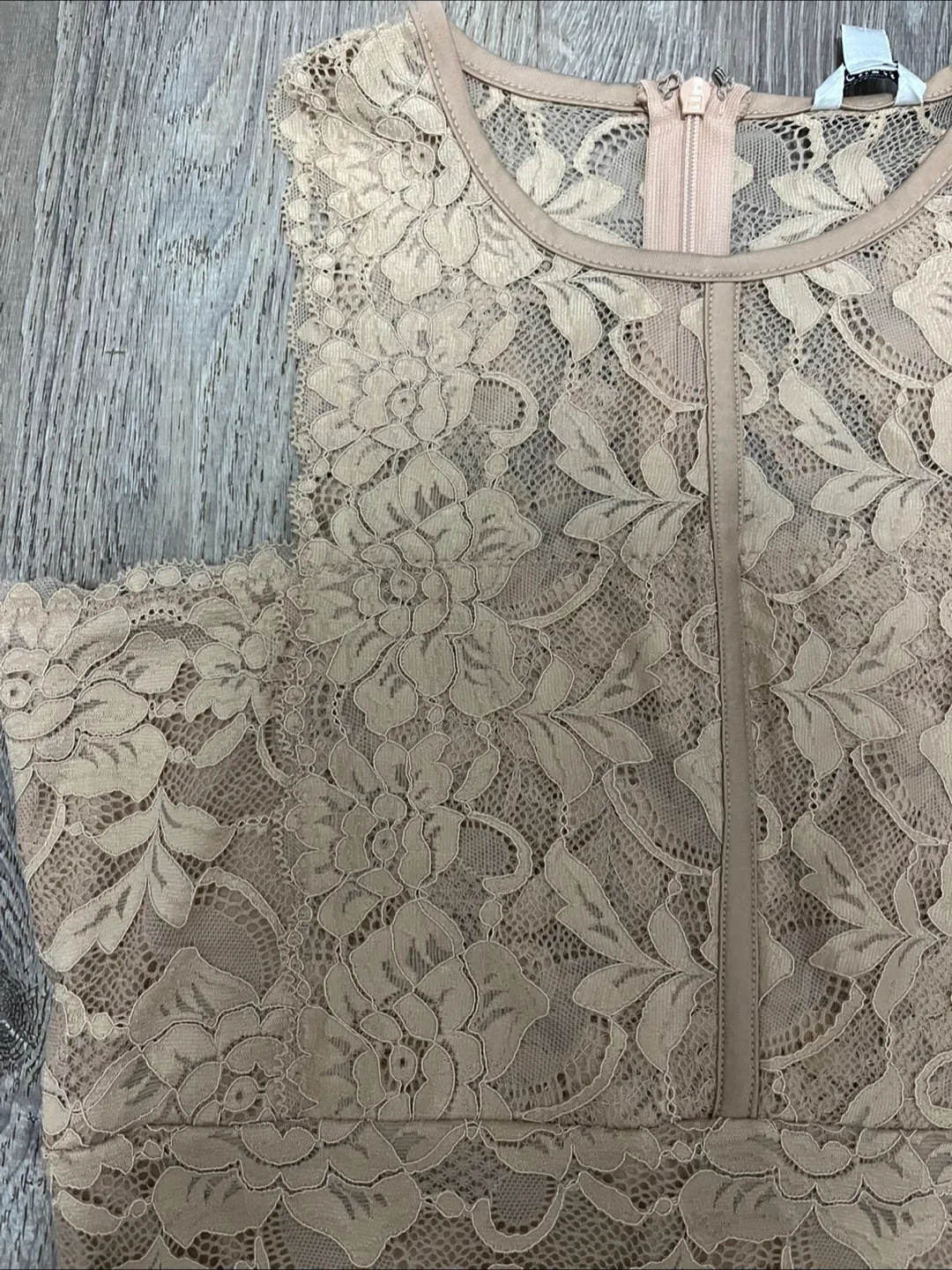 Lace Beige Dress image indicator(4)