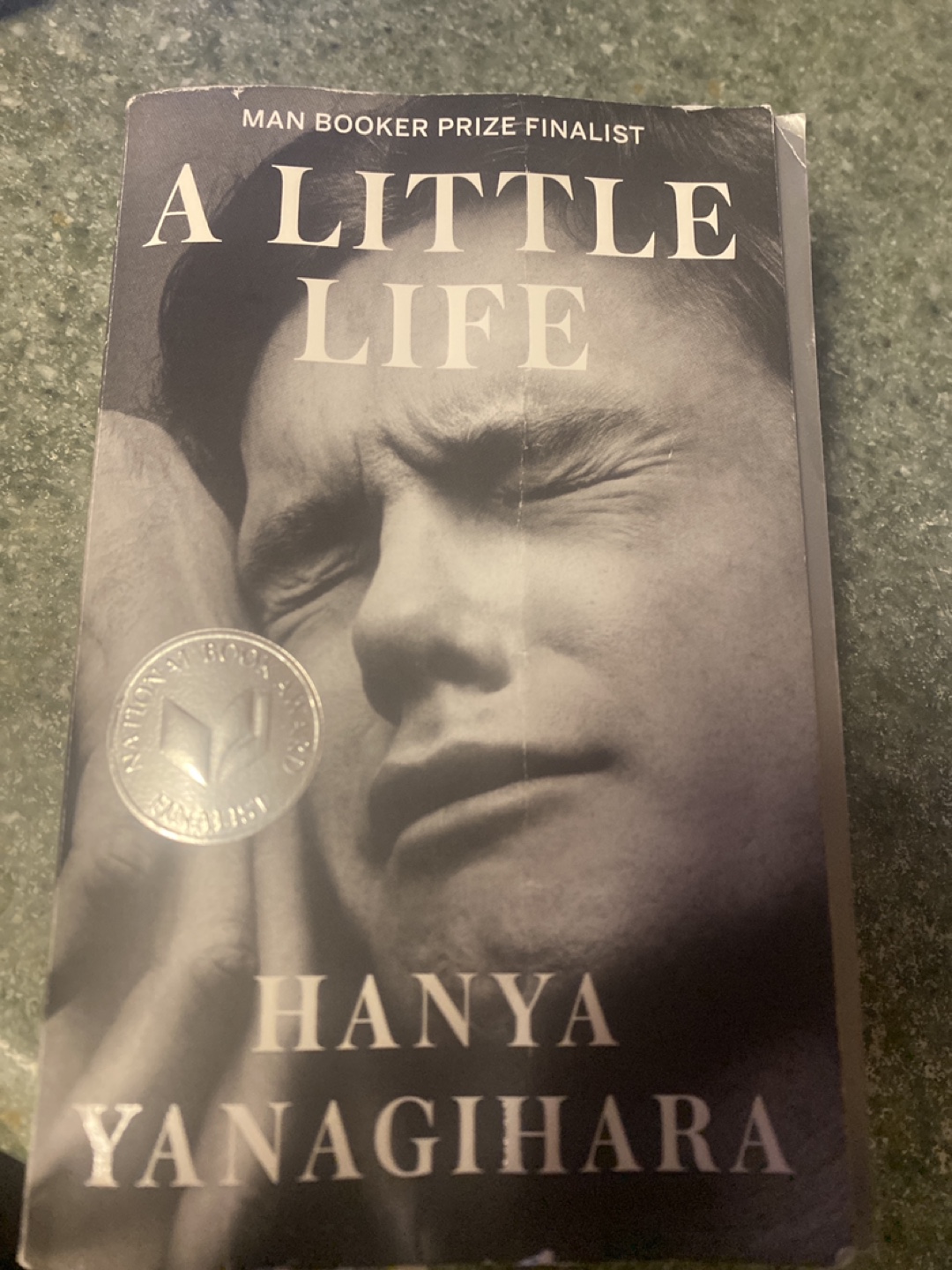 A Little Life by Hanya Yanagihara