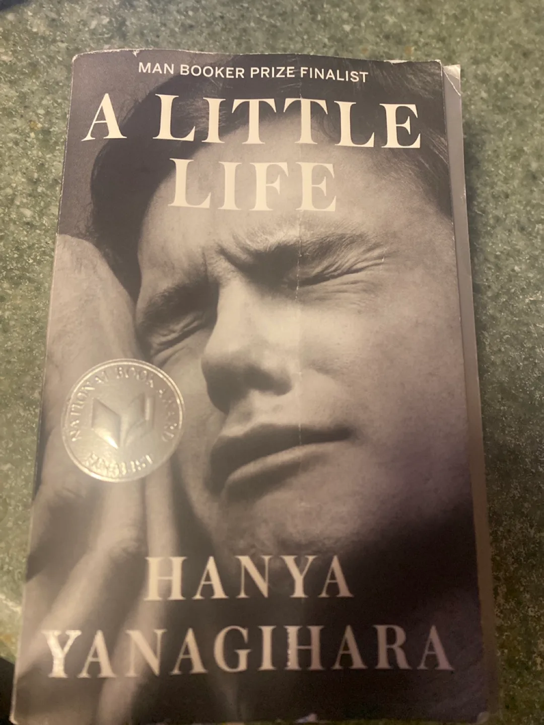 A Little Life by Hanya Yanagihara thumbnail