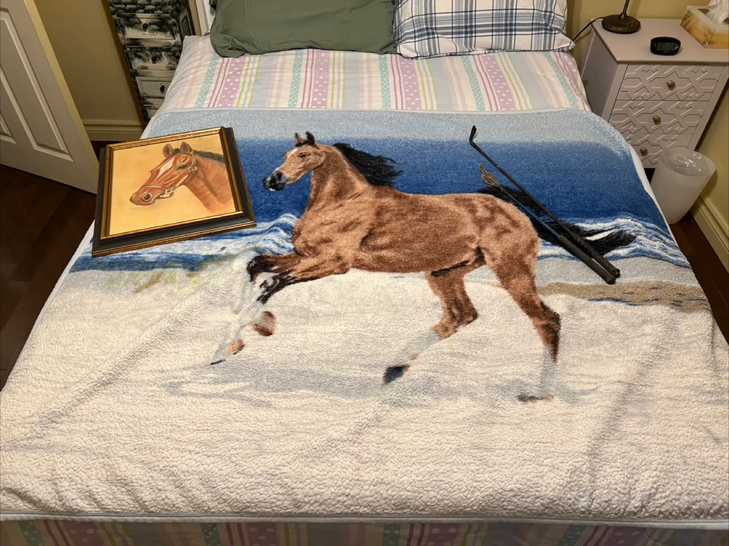 Horse blanket.  Framed picture and whips thumbnail