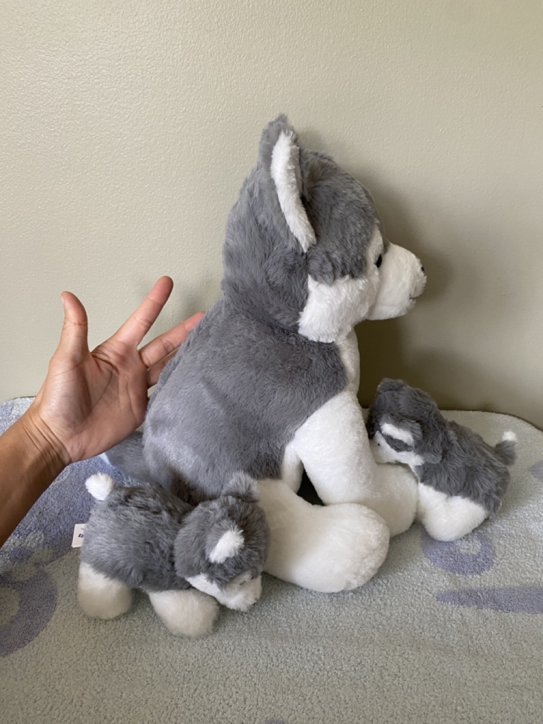 Large husky plush set