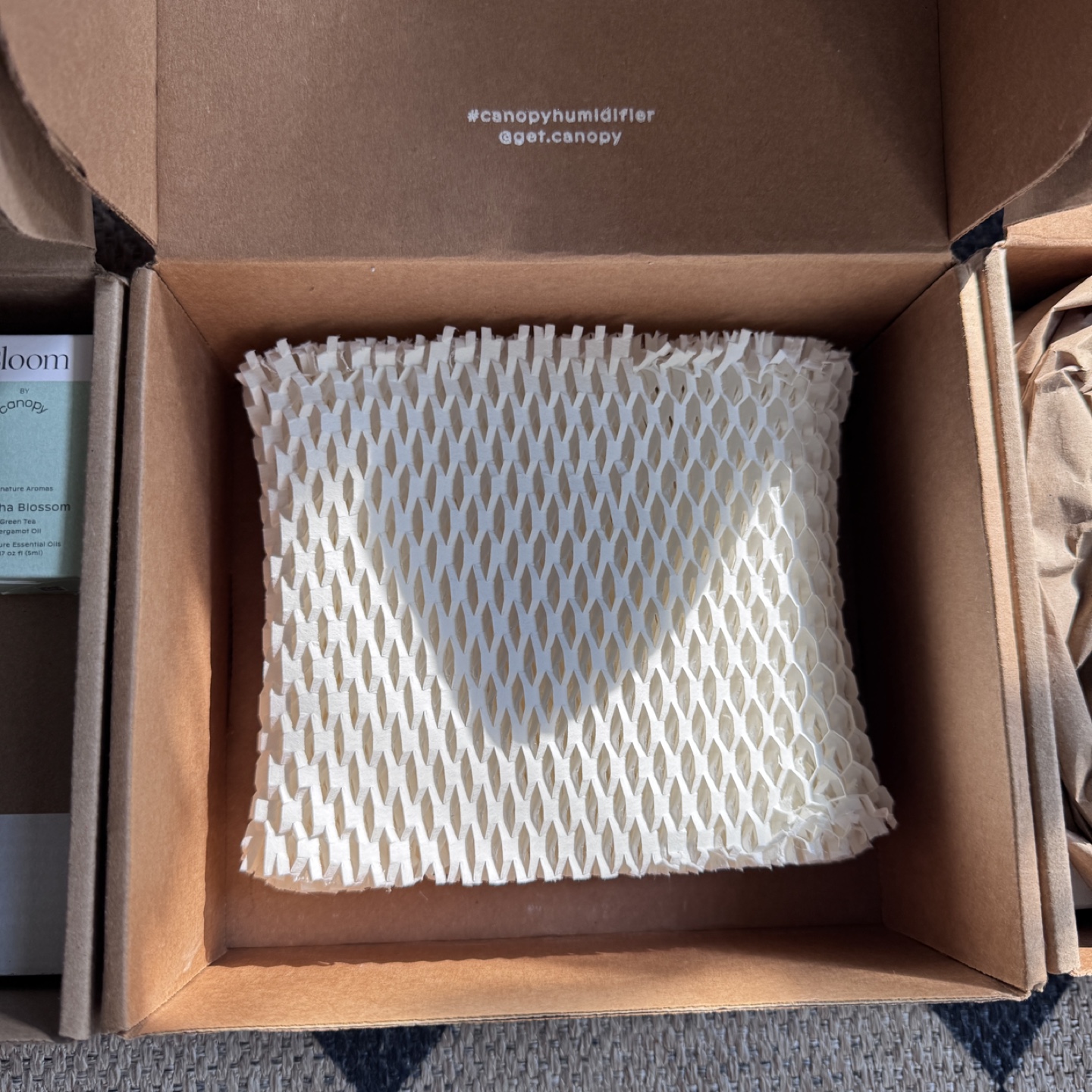 Canopy Humidifier + 3 Filters + 6 Aroma Oils - photo 4