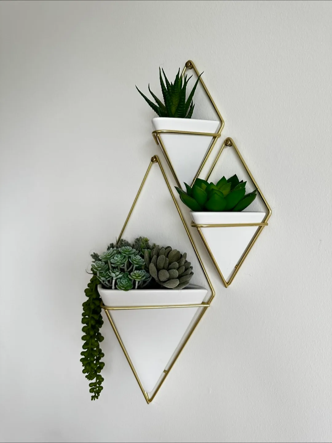 Umbra Geometric Wall Planters - Set of 3 thumbnail