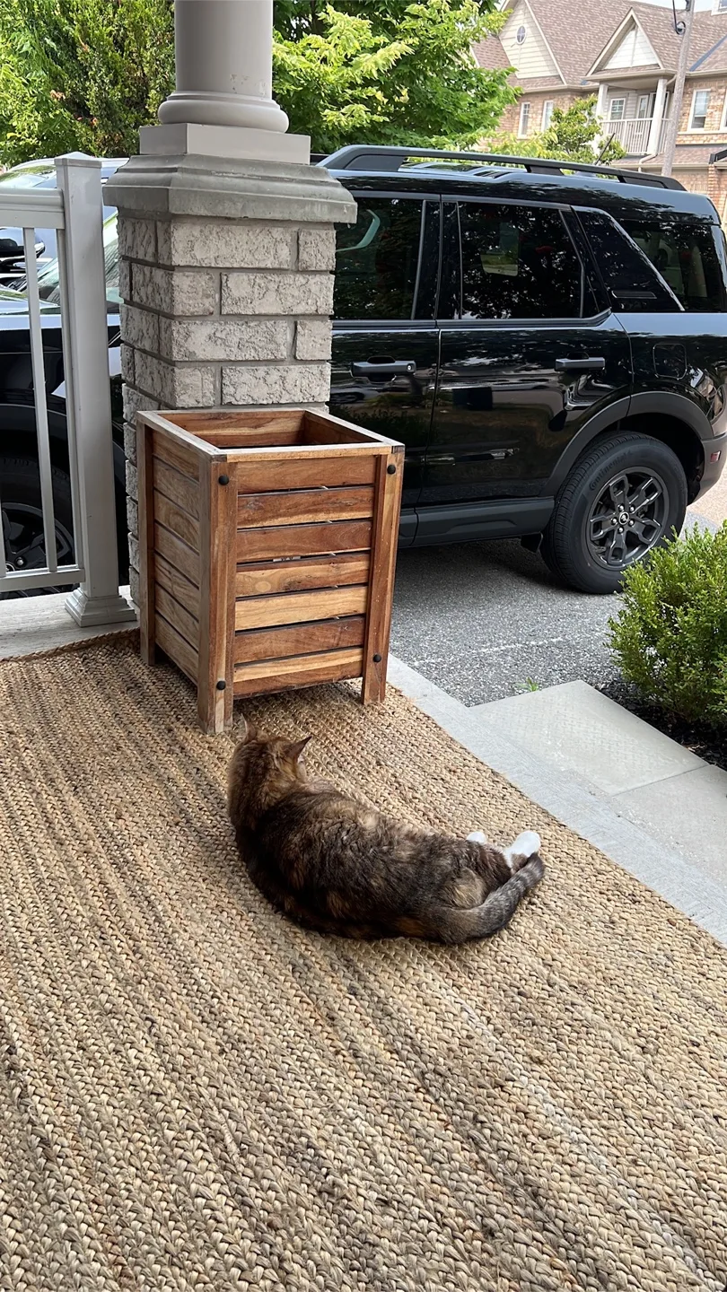 Wooden Outdoor Planter Box thumbnail