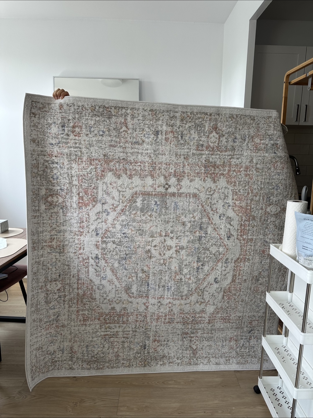 Outdoor/Indoor Rug