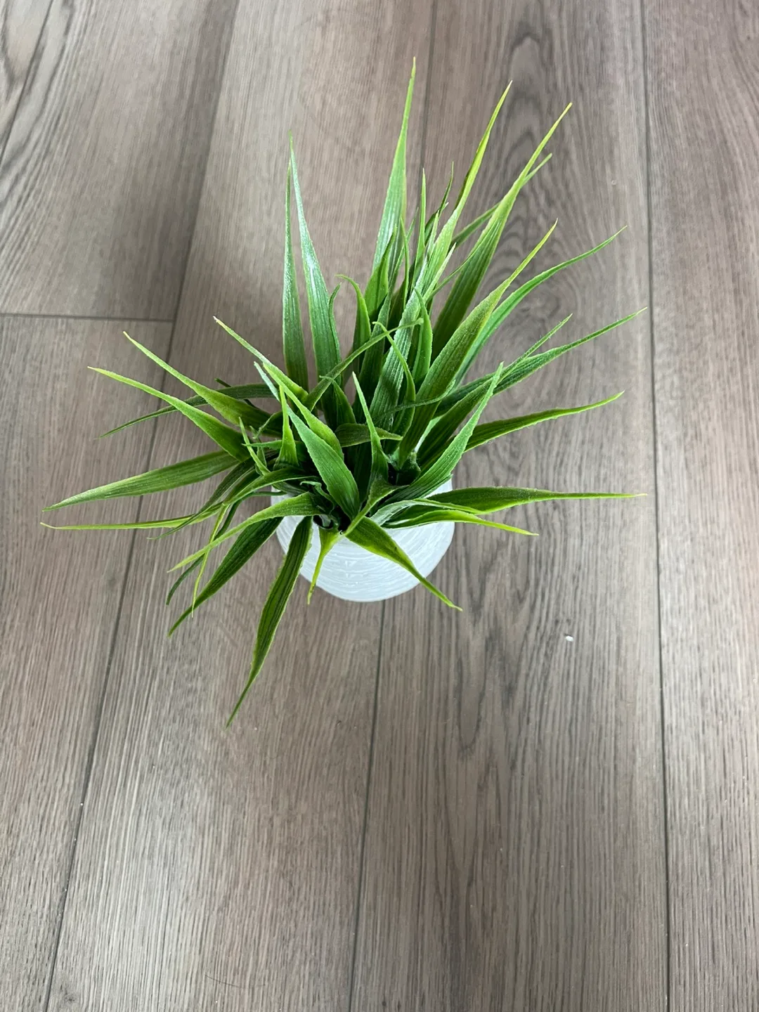 Artificial Grass Plant in White Pot image indicator(3)
