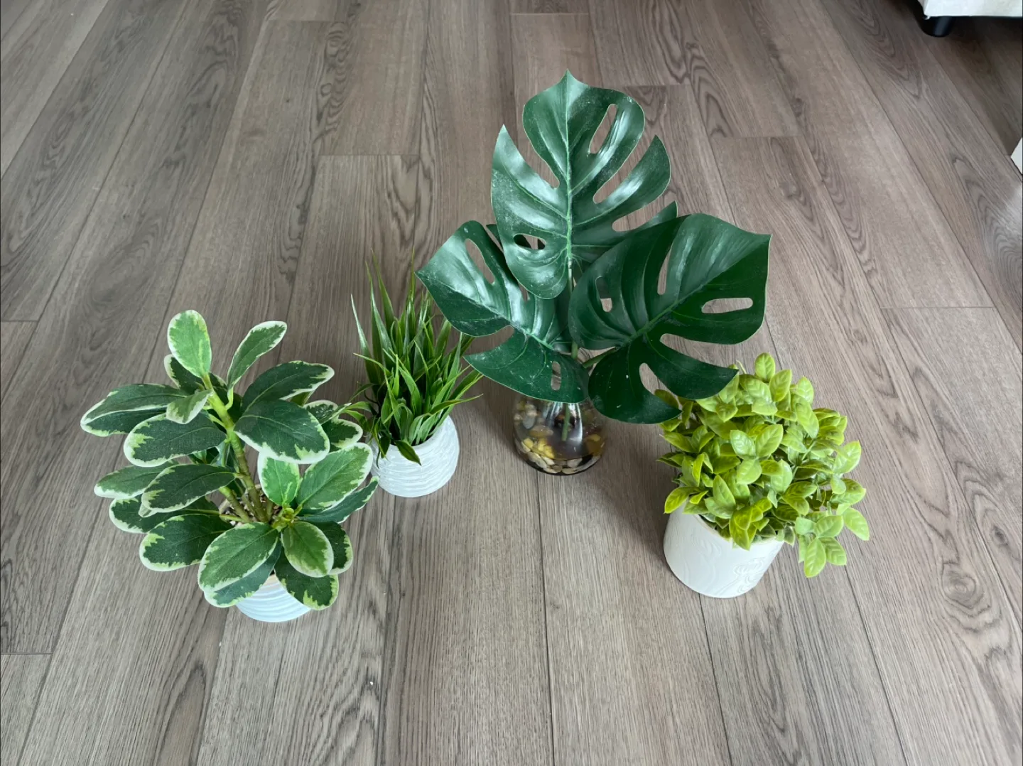 Artificial Plant with White Pot image indicator(5)