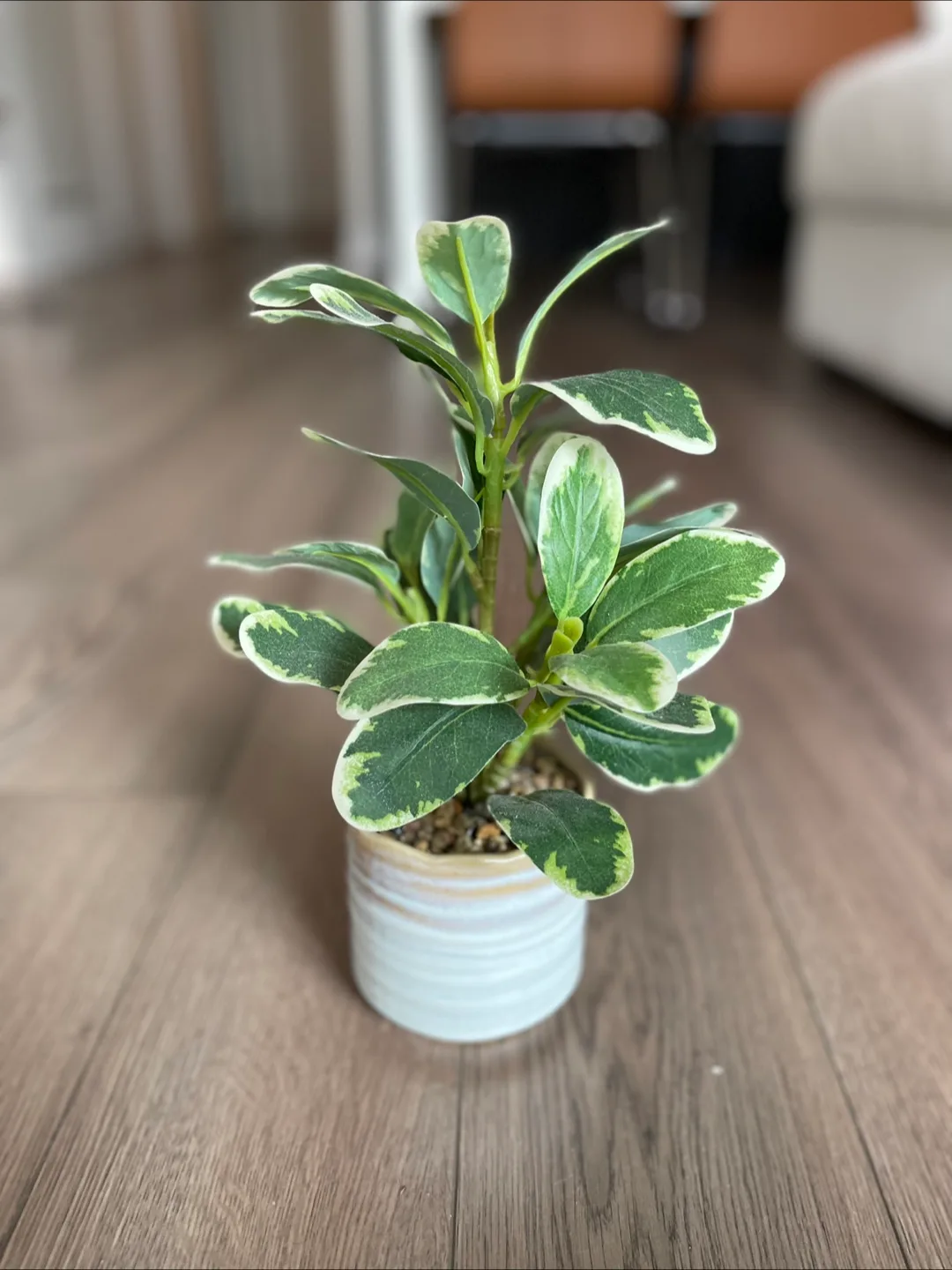 Artificial Plant with White Pot thumbnail