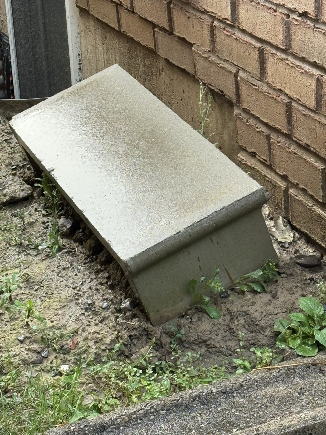 Concrete Step (36x12)