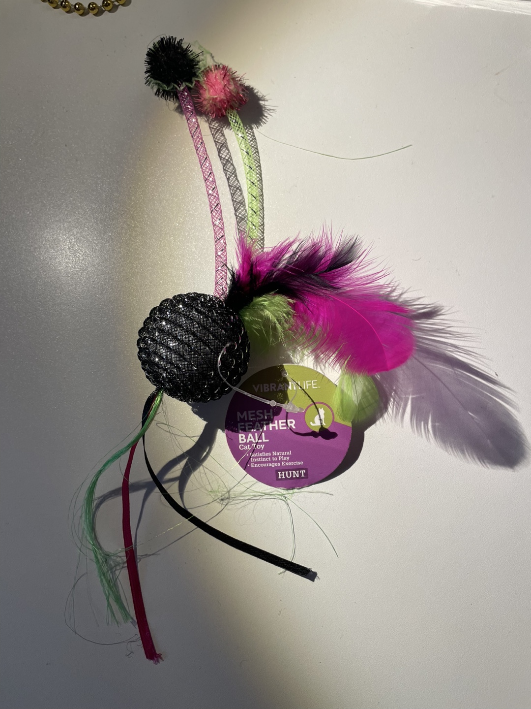 Vibrant Life Mesh Feather Ball Cat Toy 🧡