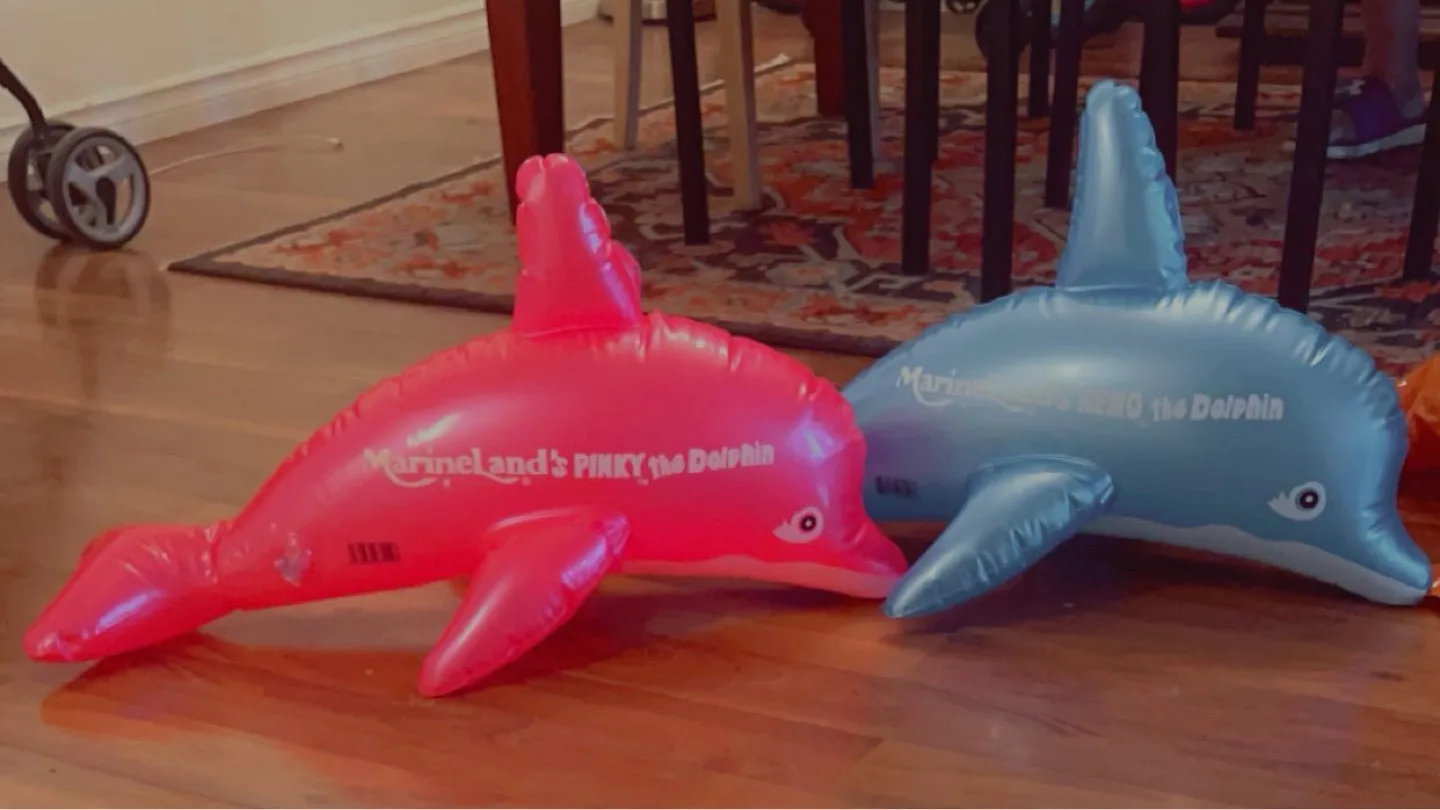 Dolphin Floaties thumbnail