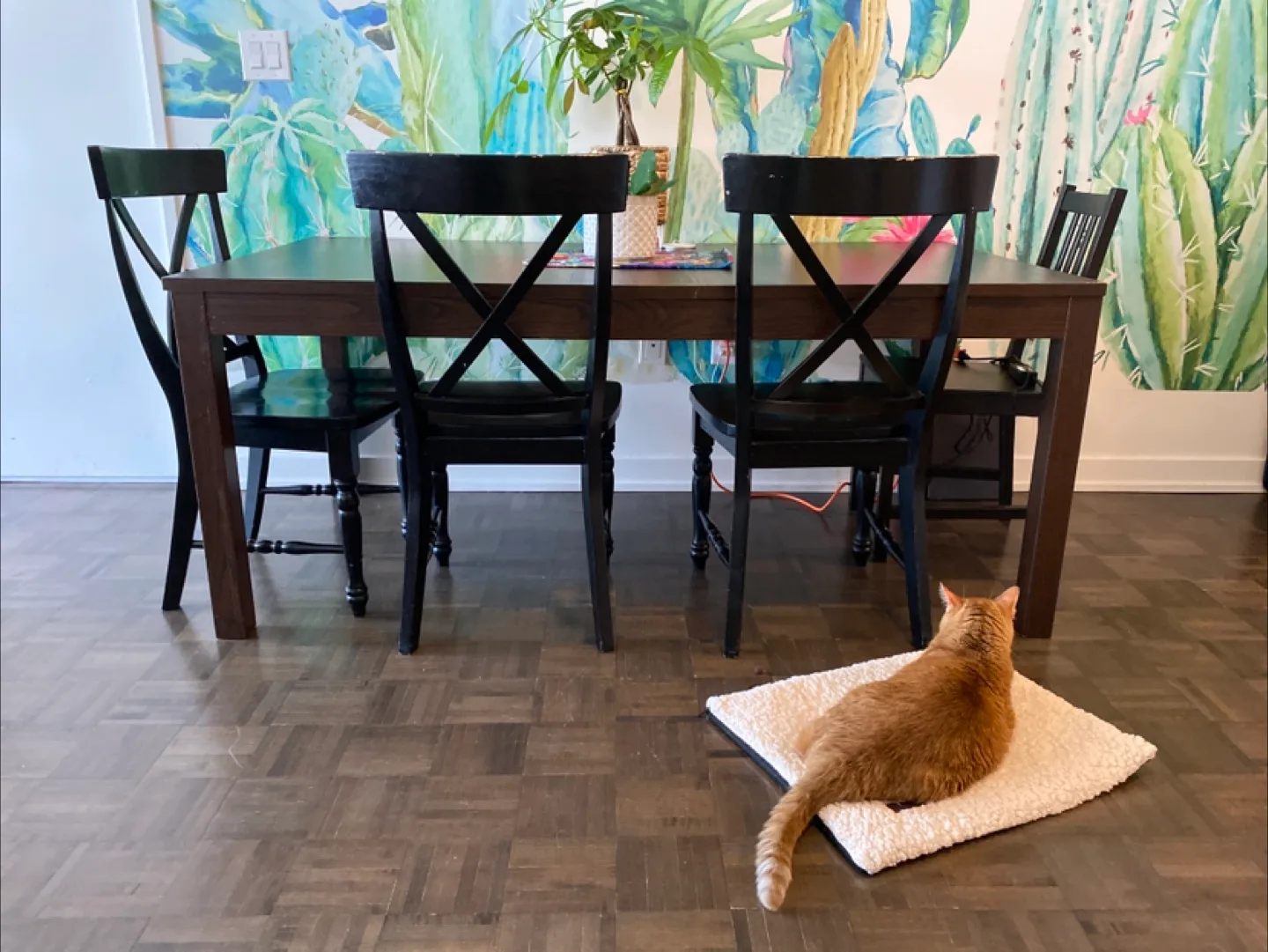 Dining Table with 4 Chairs - Black thumbnail