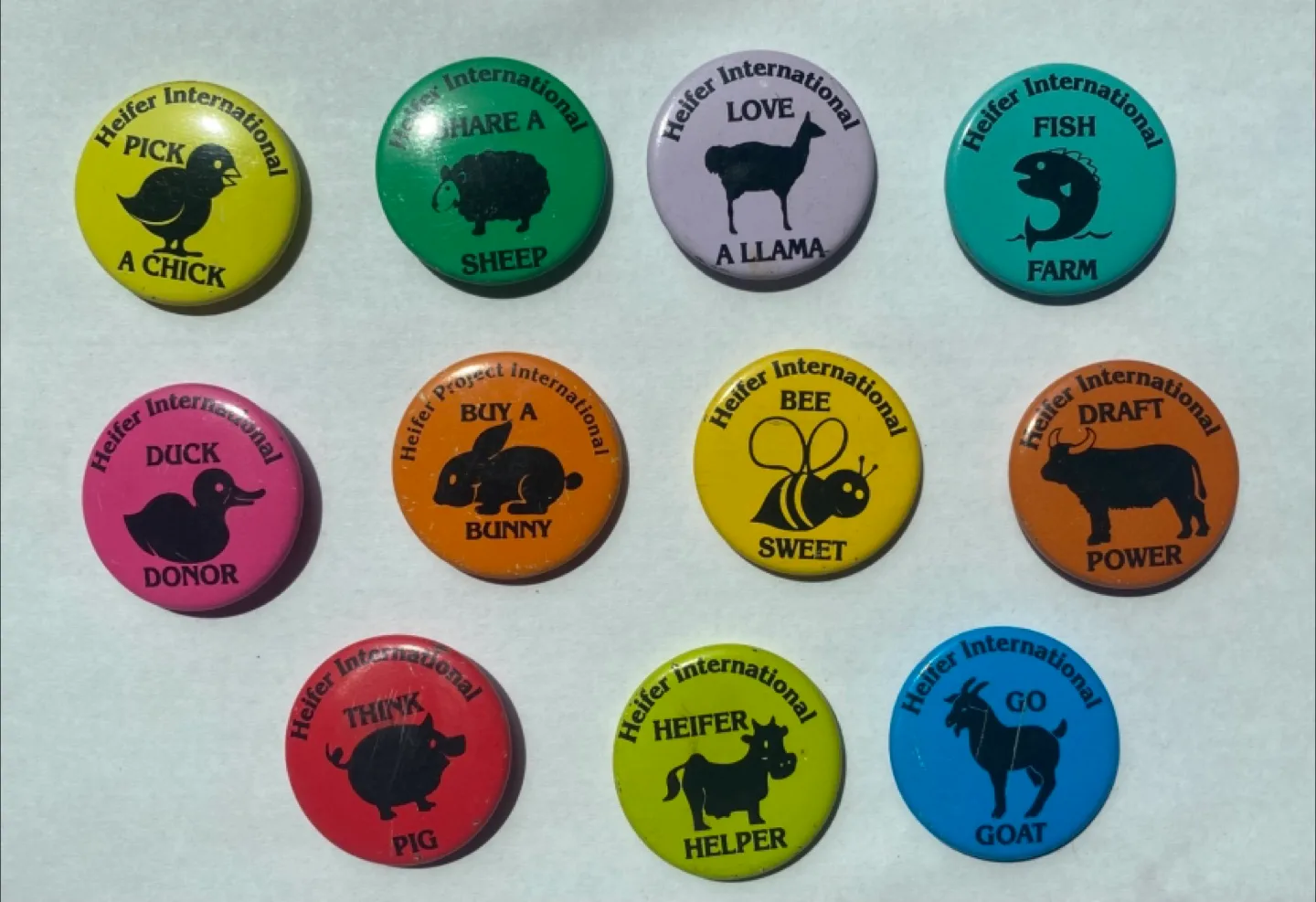Lot of 11 Heifer International buttons 🧡 thumbnail