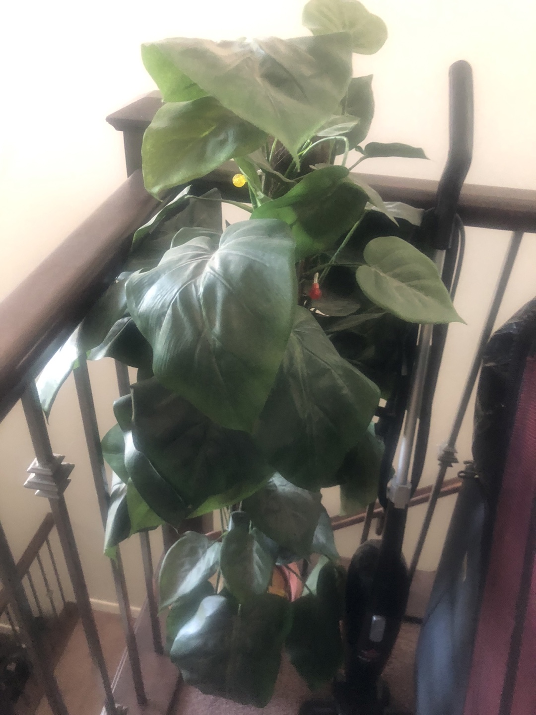 Potted Plant 🧡