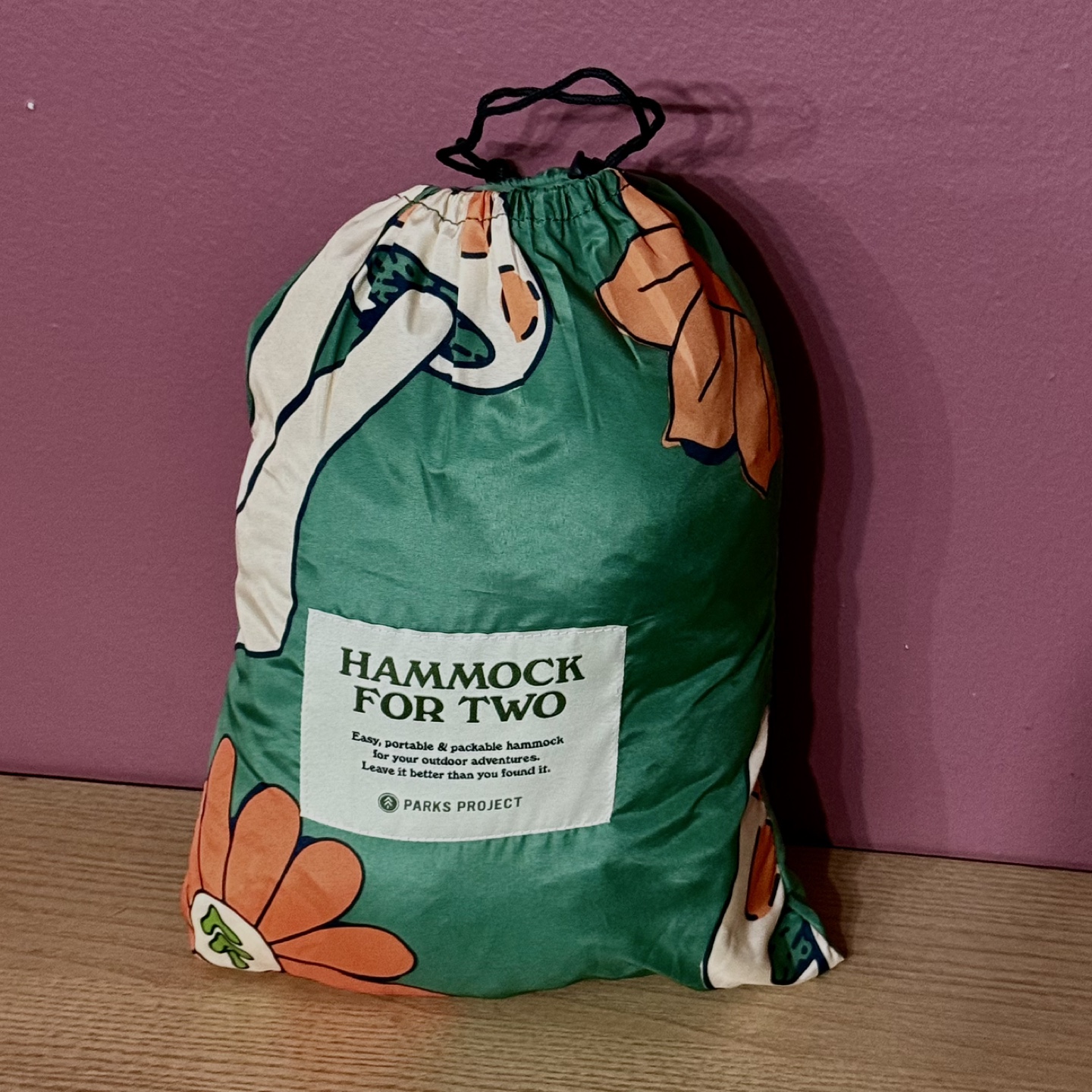 Hammock for Two