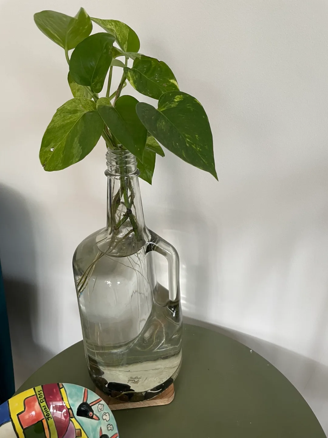 Pothos Plant in Glass Bottle thumbnail