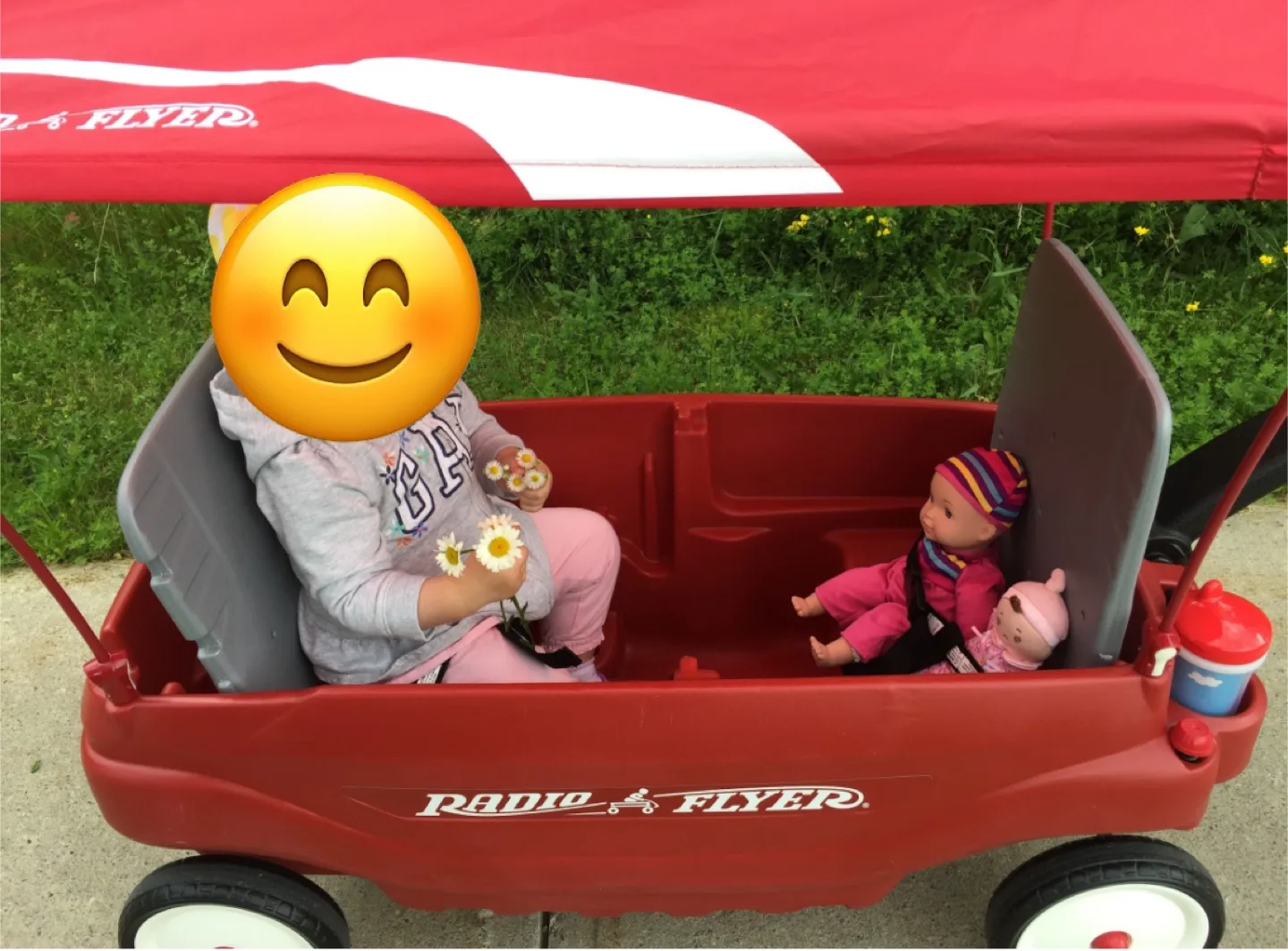 Radio Flyer Wagon with Canopy thumbnail