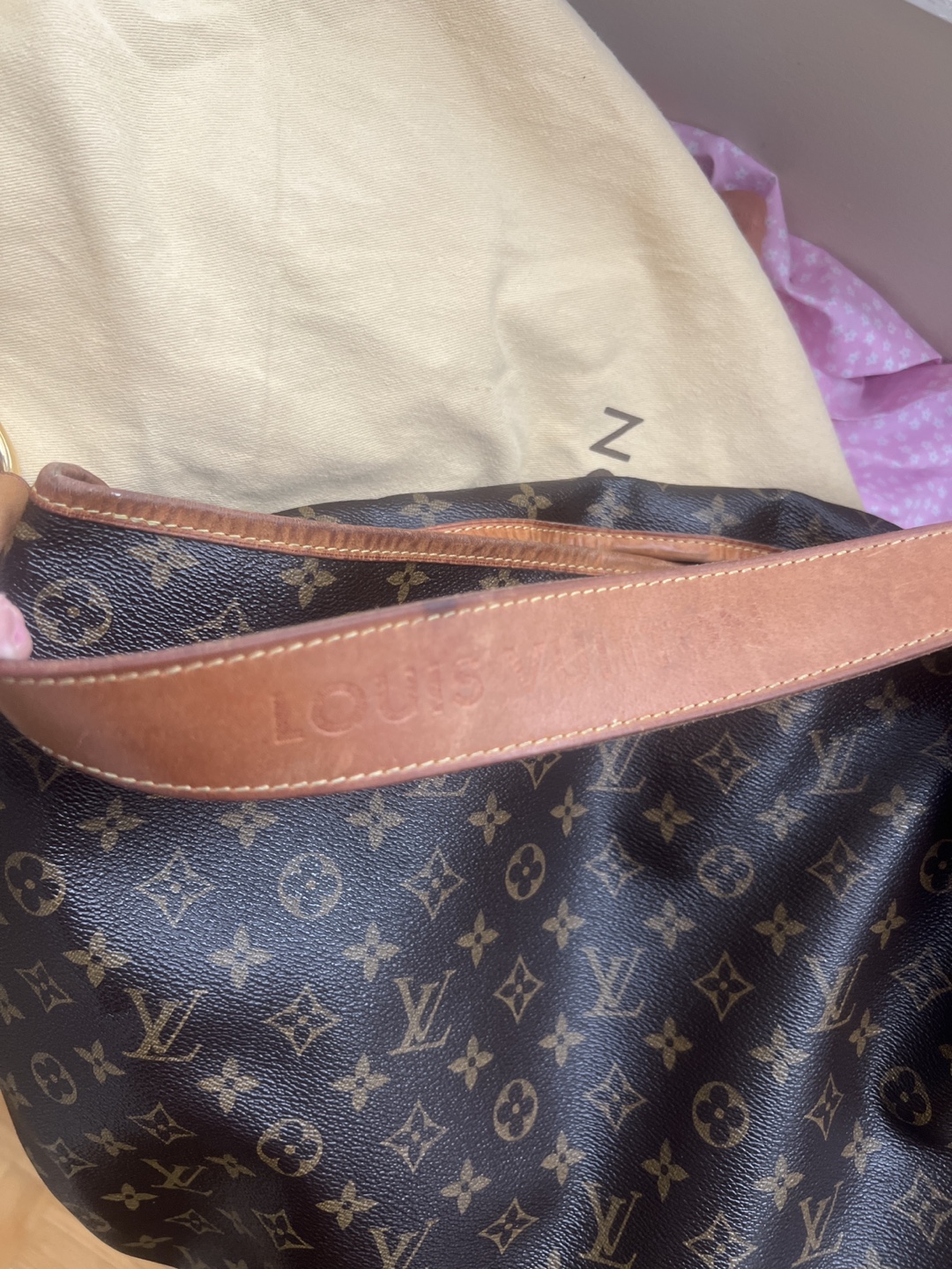 Louis Vuitton Delightful Brown Monogram - photo 5