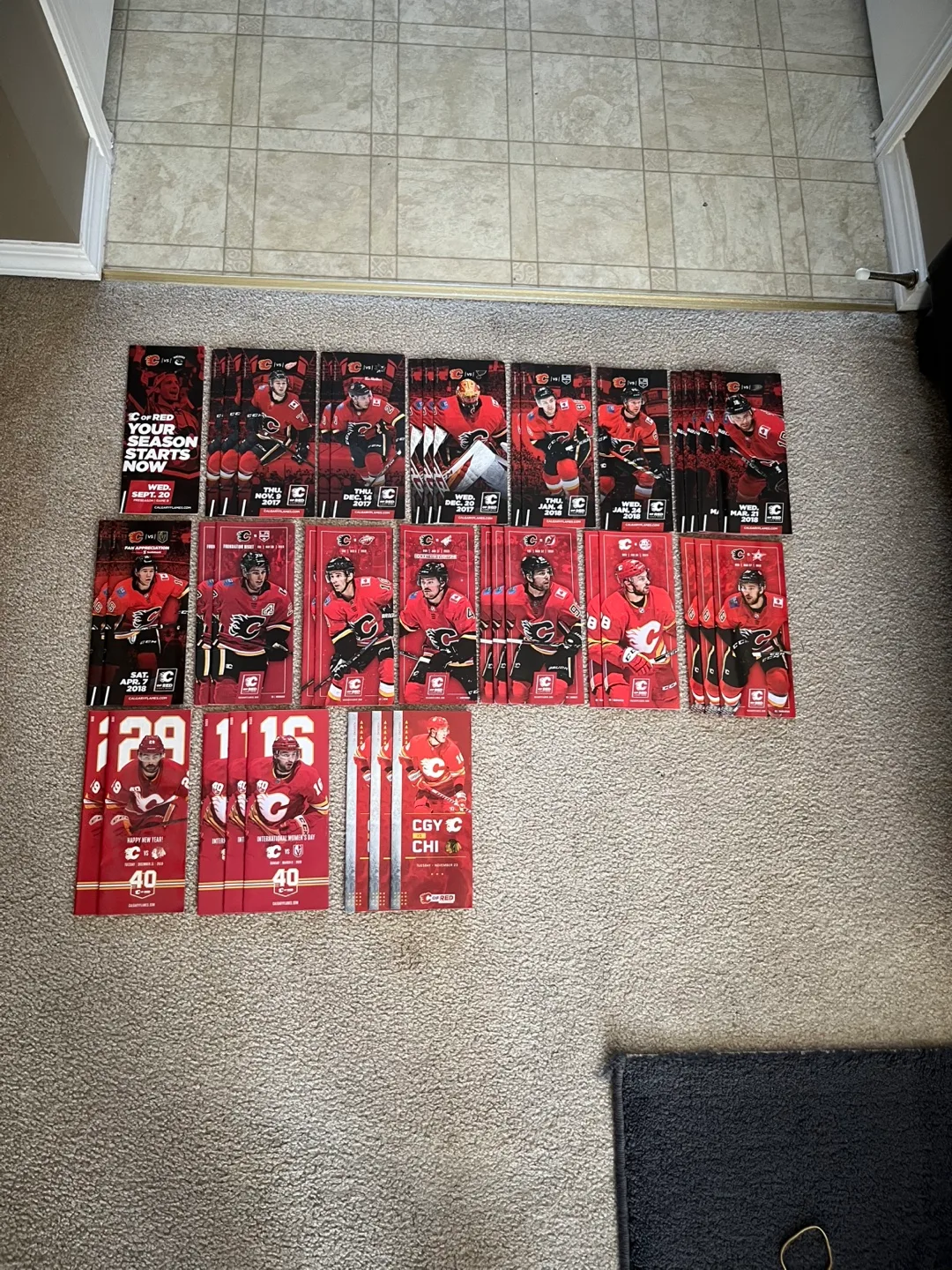 Calgary Flames Game Rosters 2013-2020 image indicator(3)