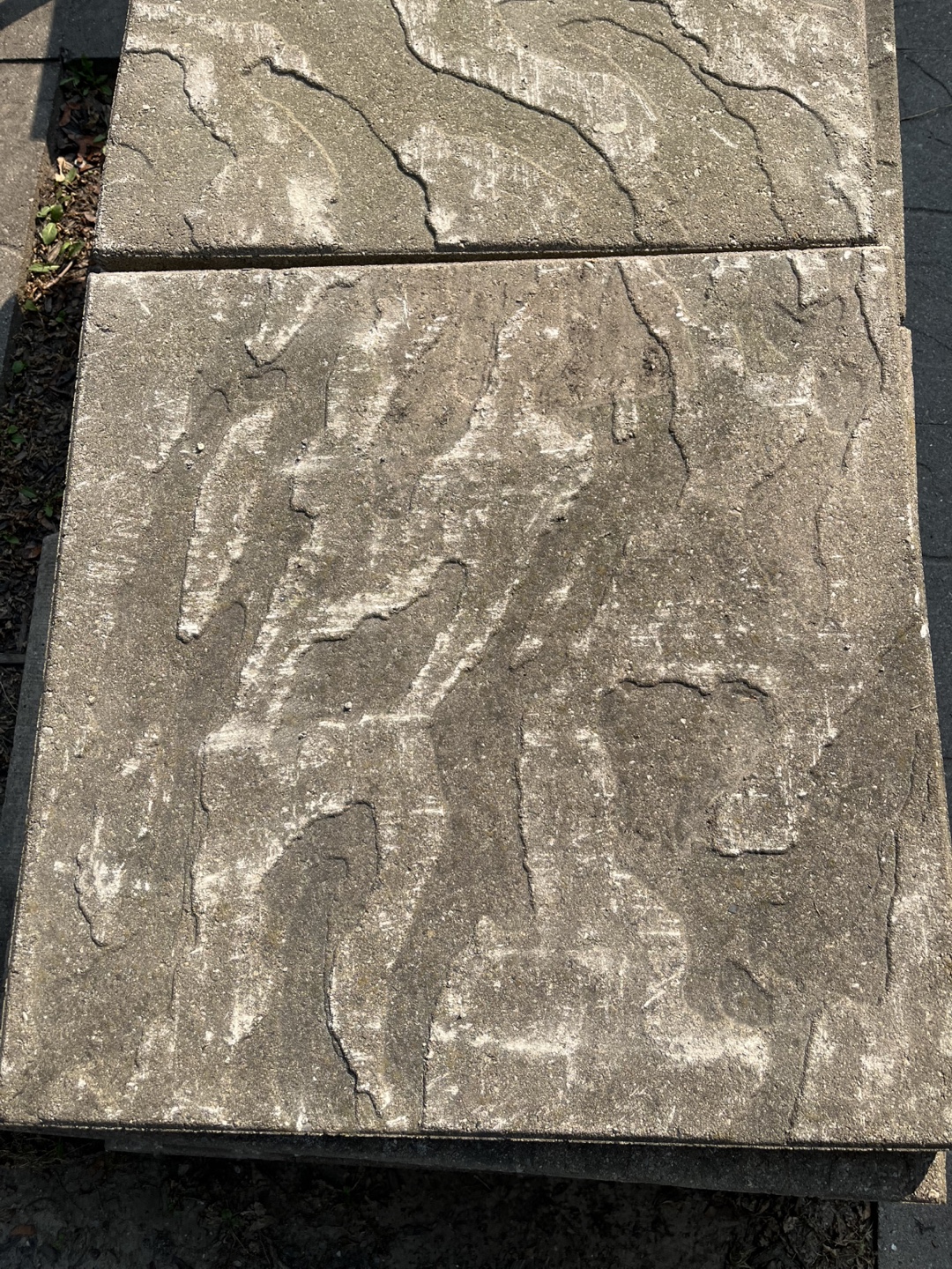 Nice Wavy Riven Designed Concrete Slab - 24x24x1.5 inches