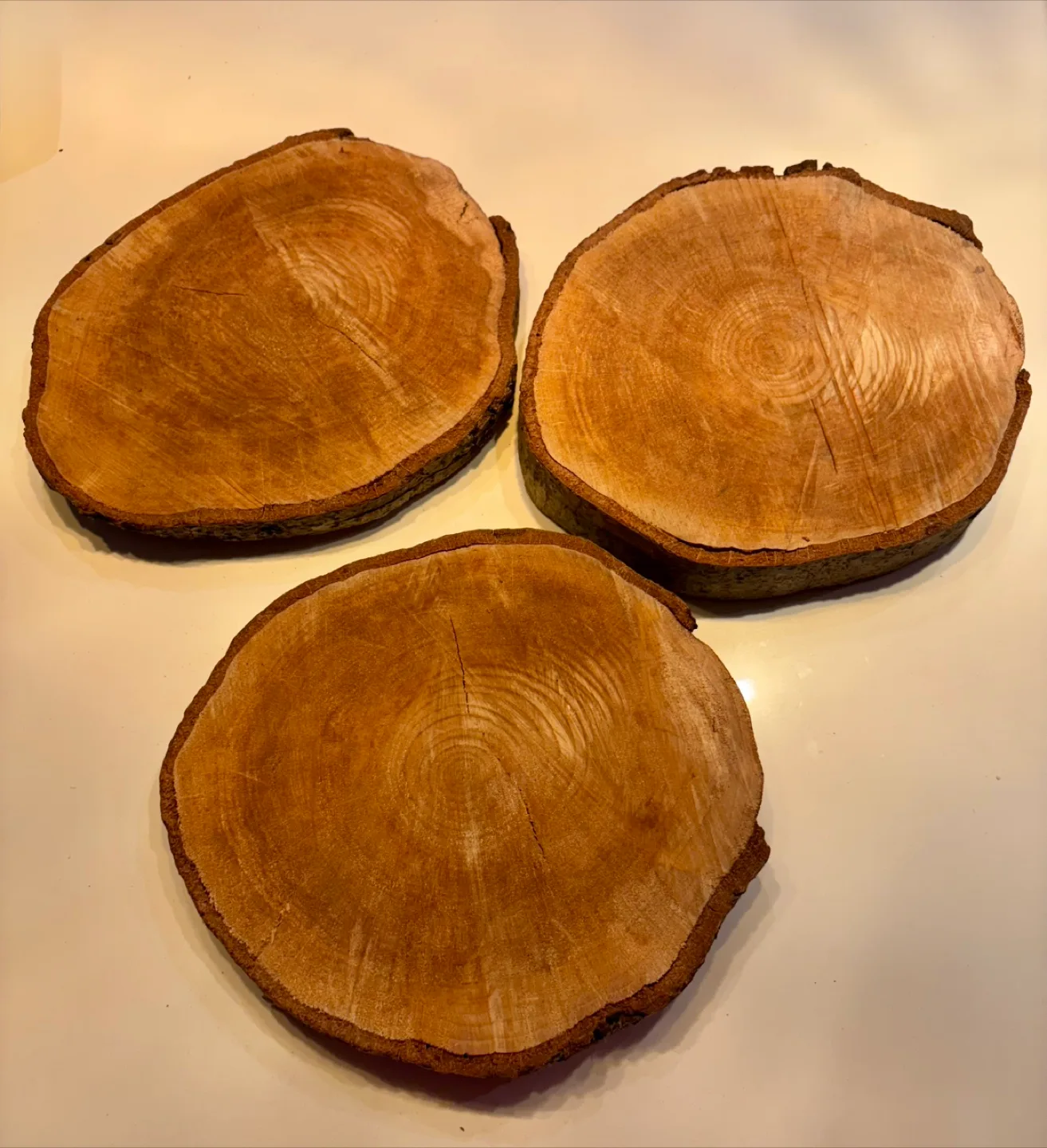 Wooden Slice Coasters (Set of 3) - wedding or home decor thumbnail