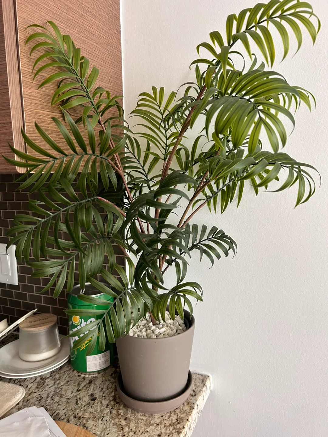 Palm Faux Plant in Pot thumbnail