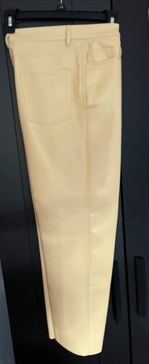 Beautiful Vegan Leather Pants thumbnail
