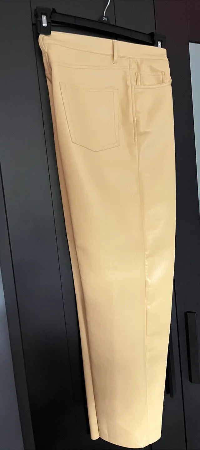 Beautiful Vegan Leather Pants image indicator(2)