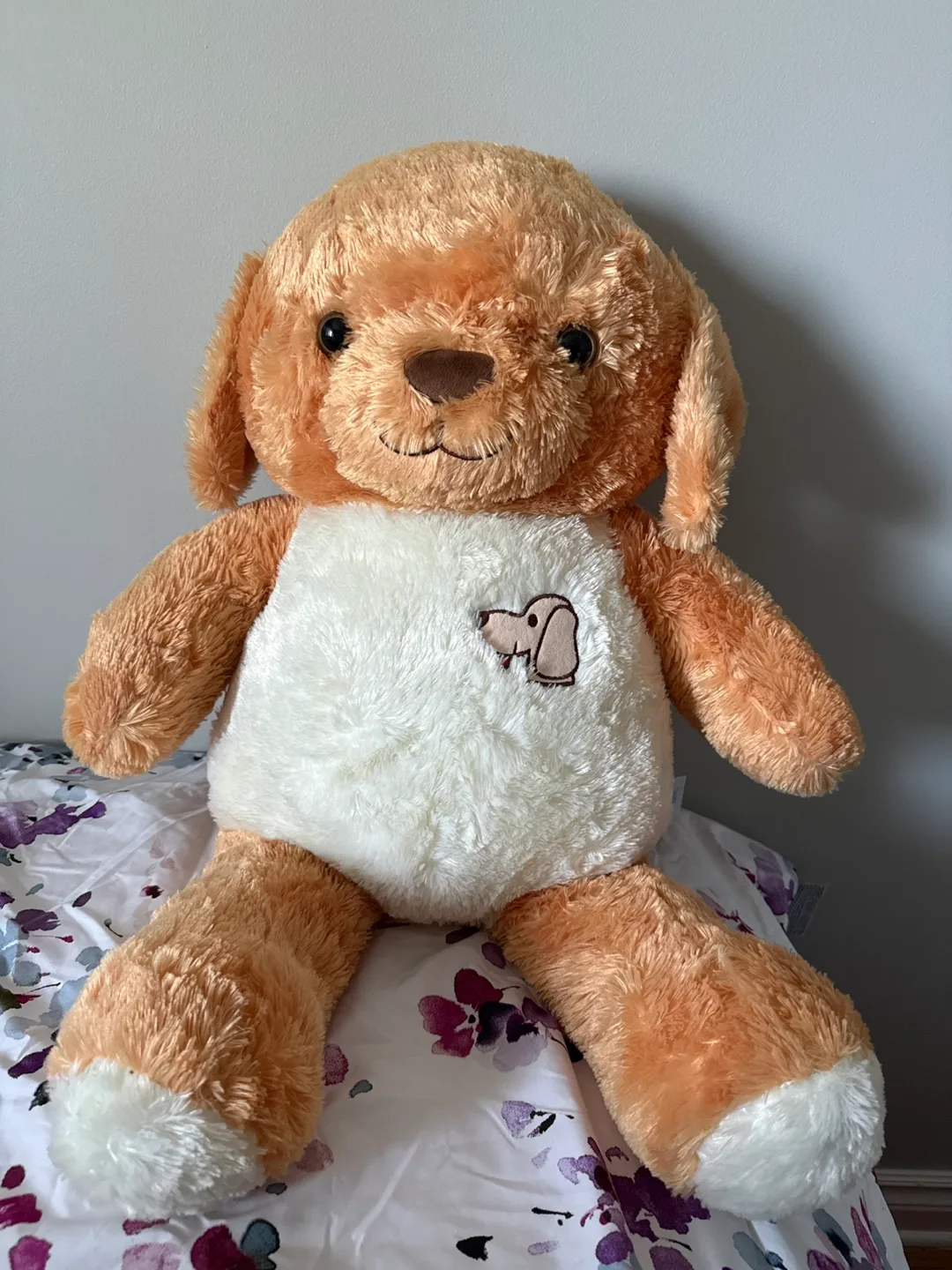 Teddy thumbnail