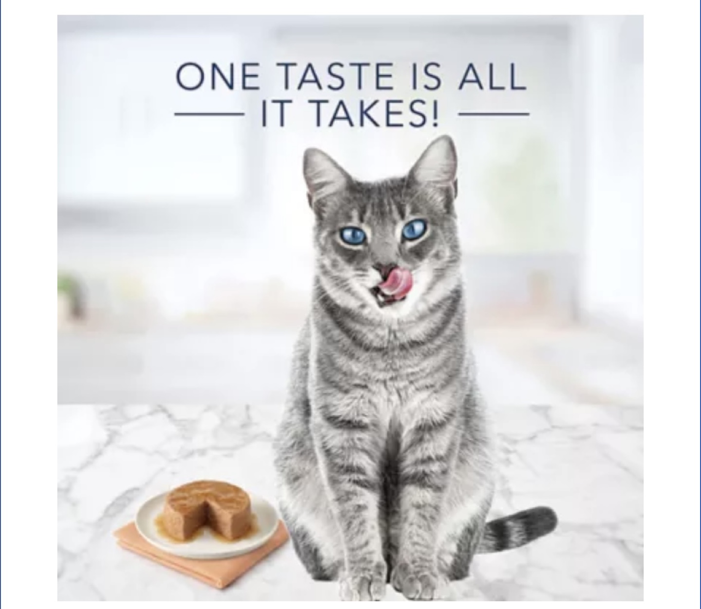 Sale - Blue Tastefuls Salmon Entree Pate Cat Food - photo 2