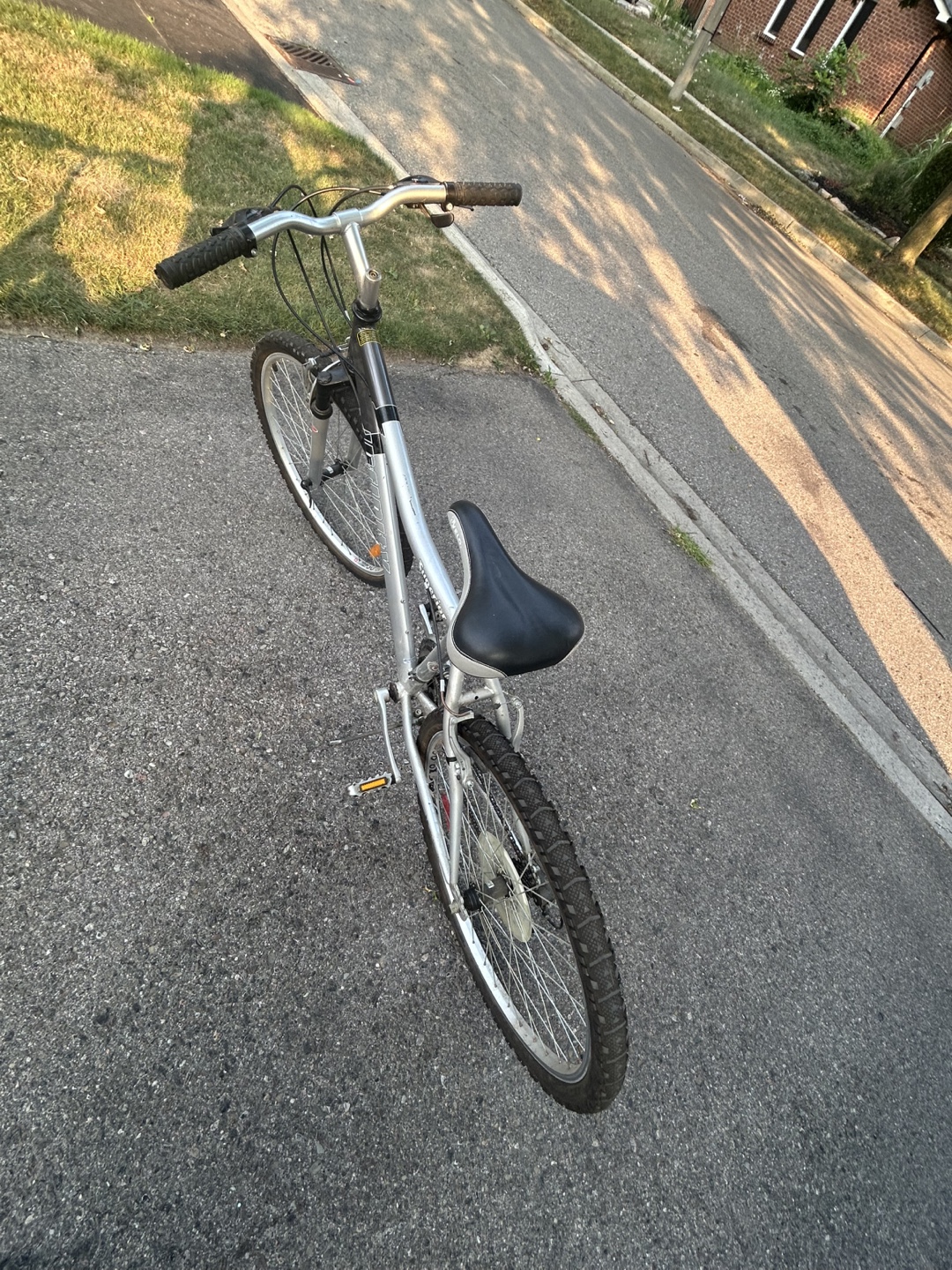 Superior Mountain Bike - Silver - photo 2