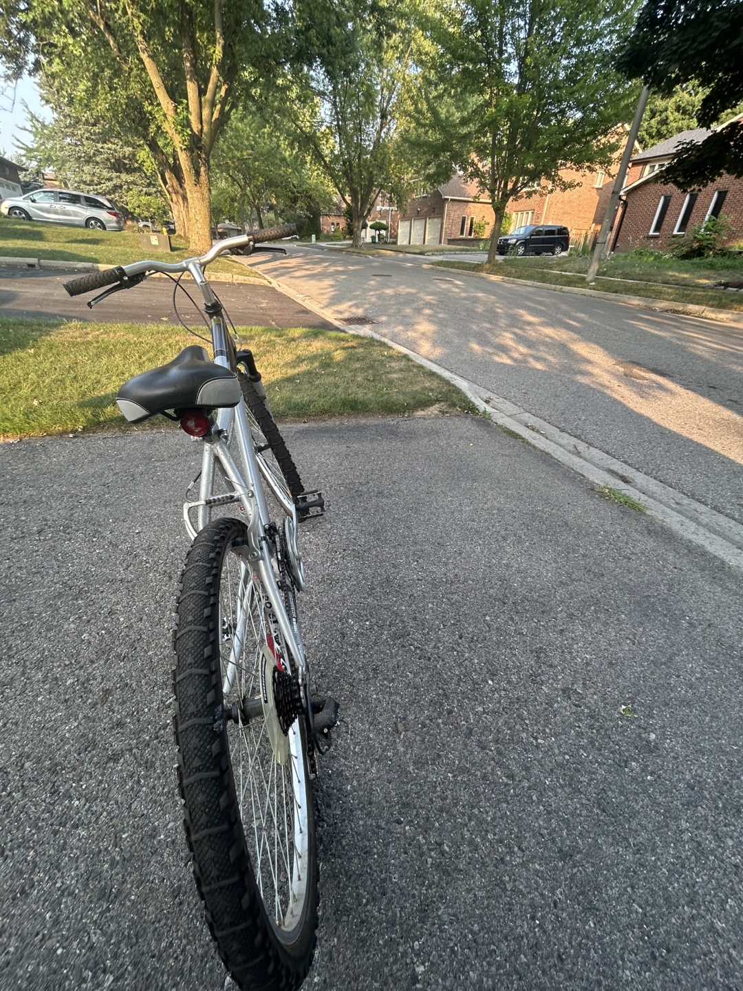 Superior Mountain Bike - Silver