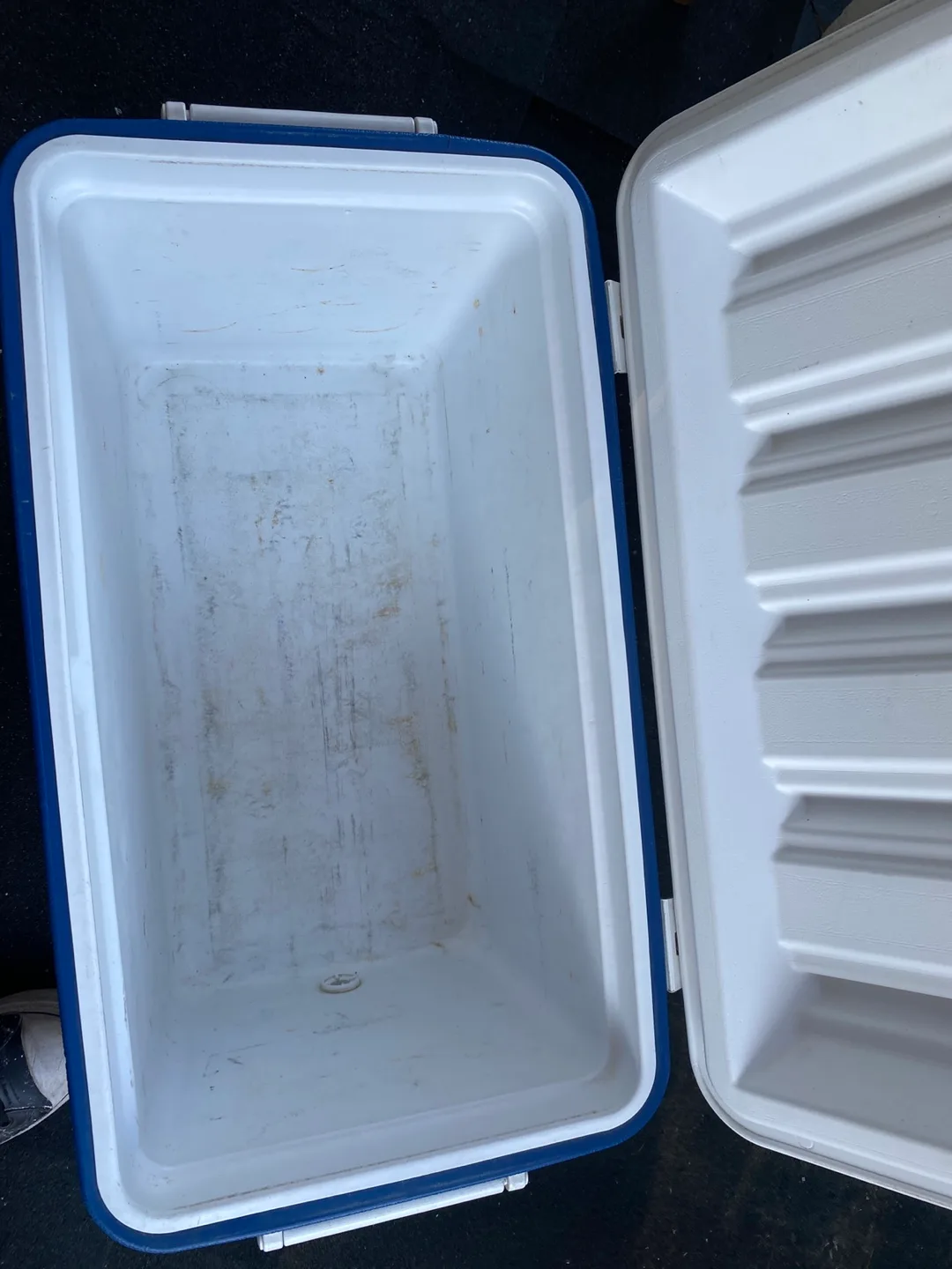 Blue Cooler - Coleman image indicator(2)