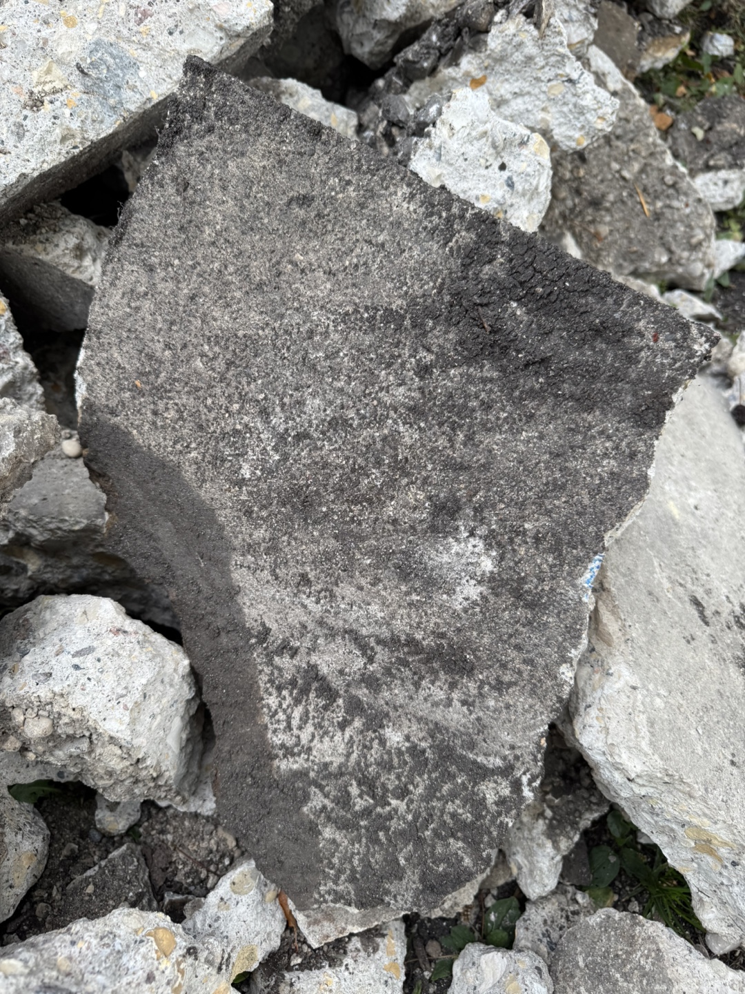 FREE -Clean Fill - PU in Charleswood near Roblin & Dale - photo 2