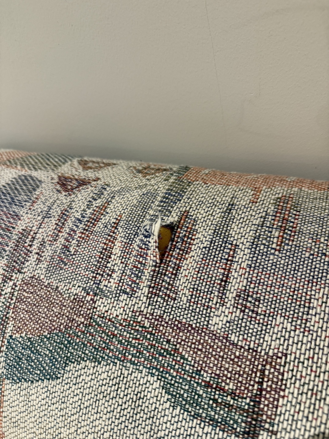 Couch (pullout bed) - photo 3