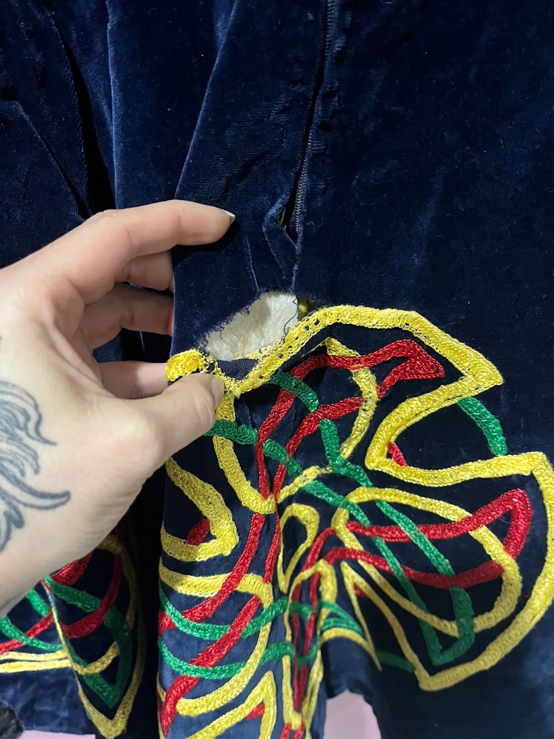 Vintage Velvet Dress image indicator(4)