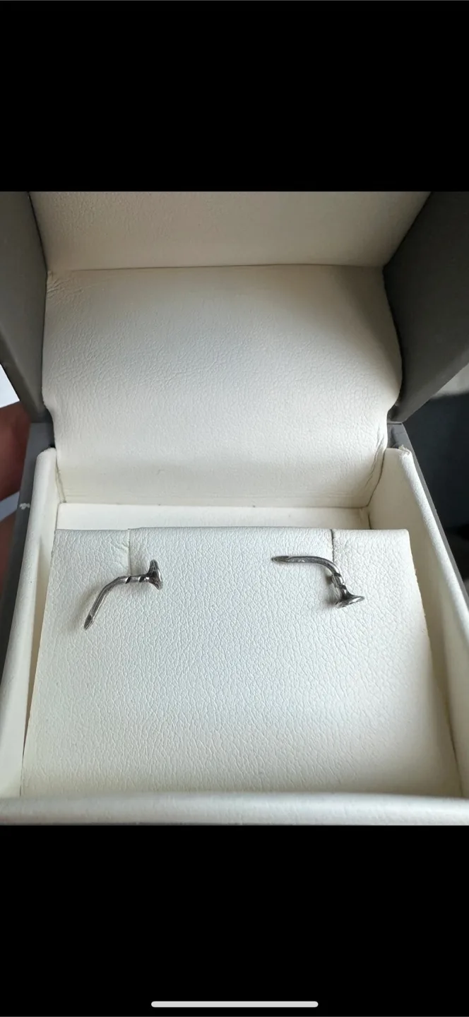 Earrings thumbnail
