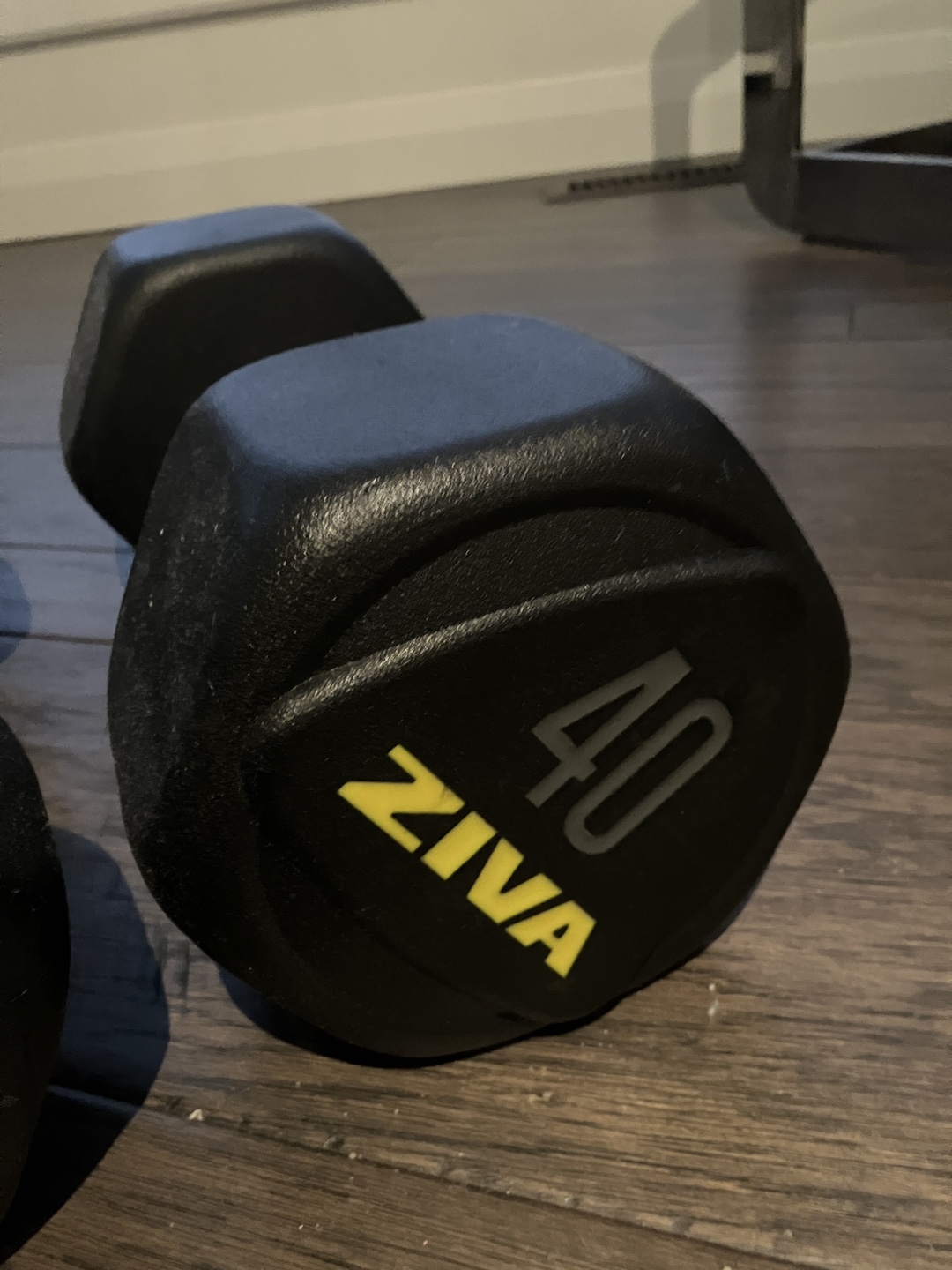 Ziva 40lb Dumbbells - Pair
