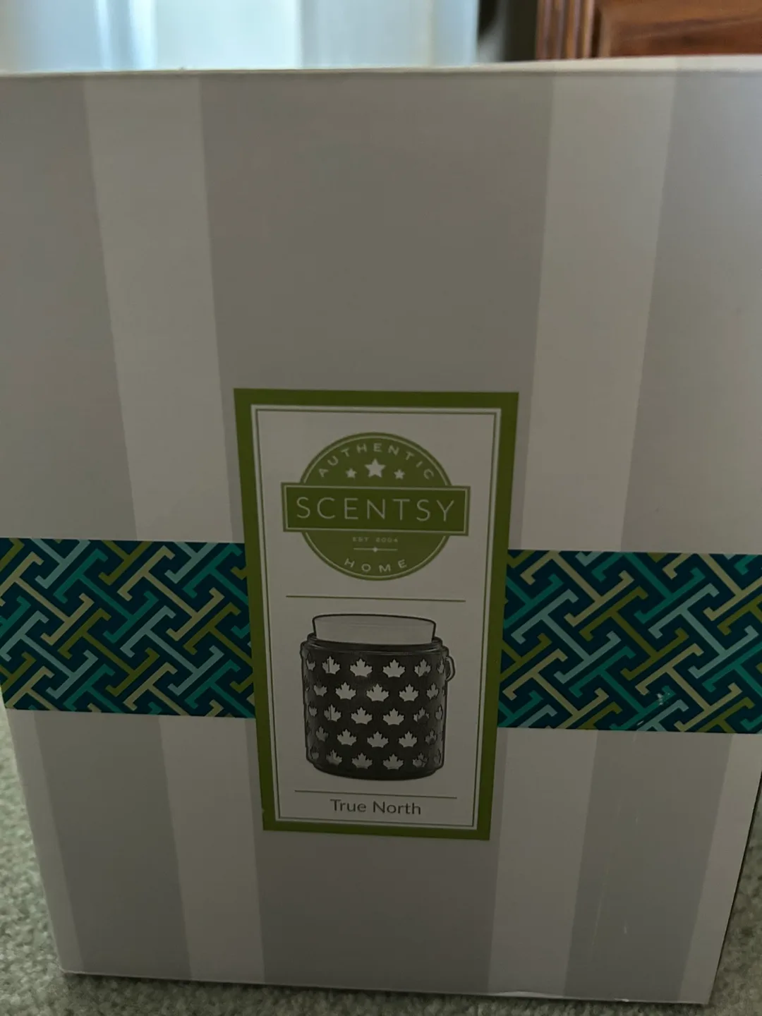 Scentsy True North Warmer thumbnail
