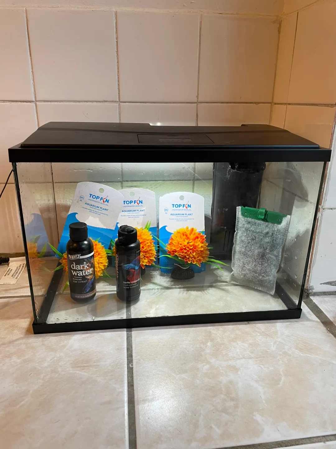 5 Gallon Fish Tank & Accessories thumbnail