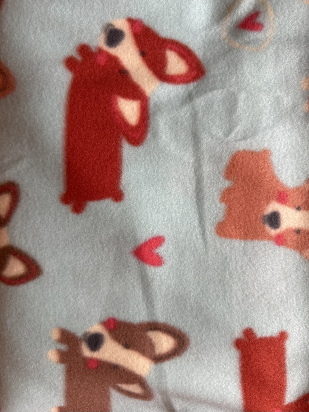 Corgi Fleece Fabric - photo 2